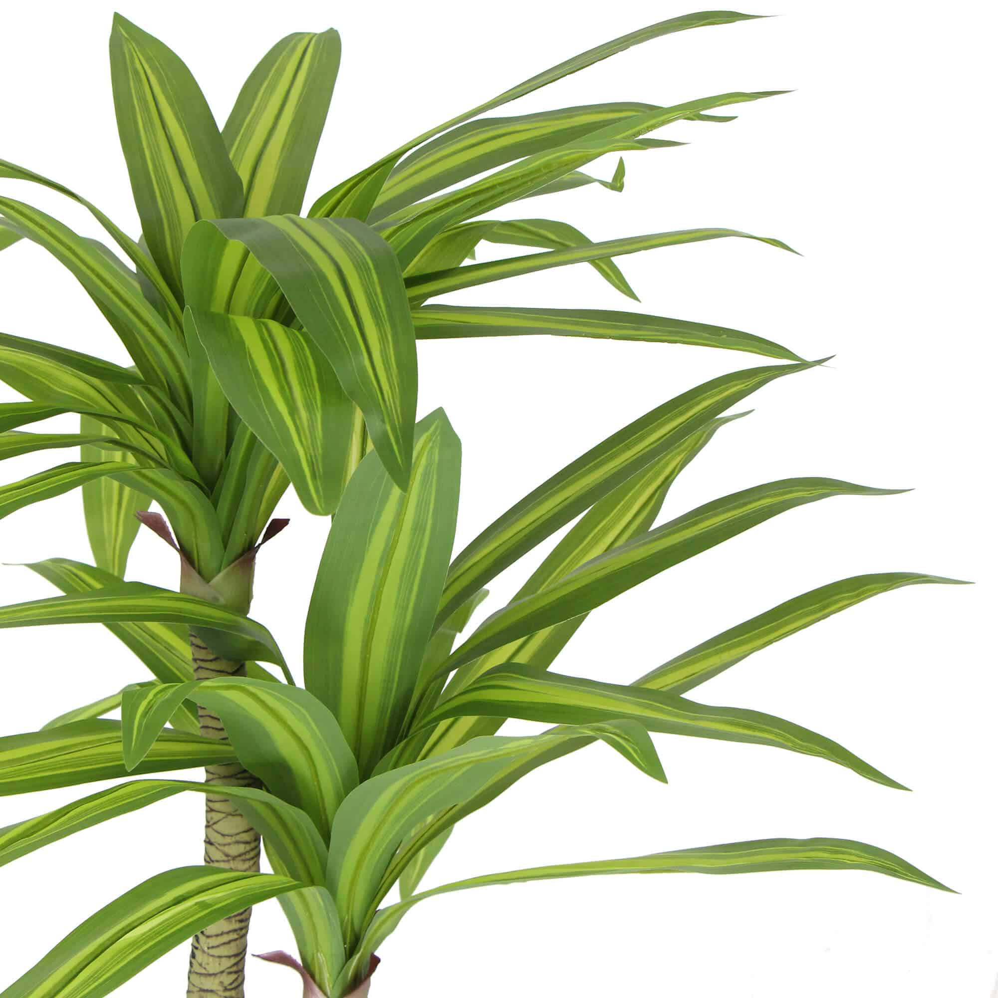 Artificial Multi Head Dracaena Tree with Mixed Green Leaves (Real Touch) 130cm 4