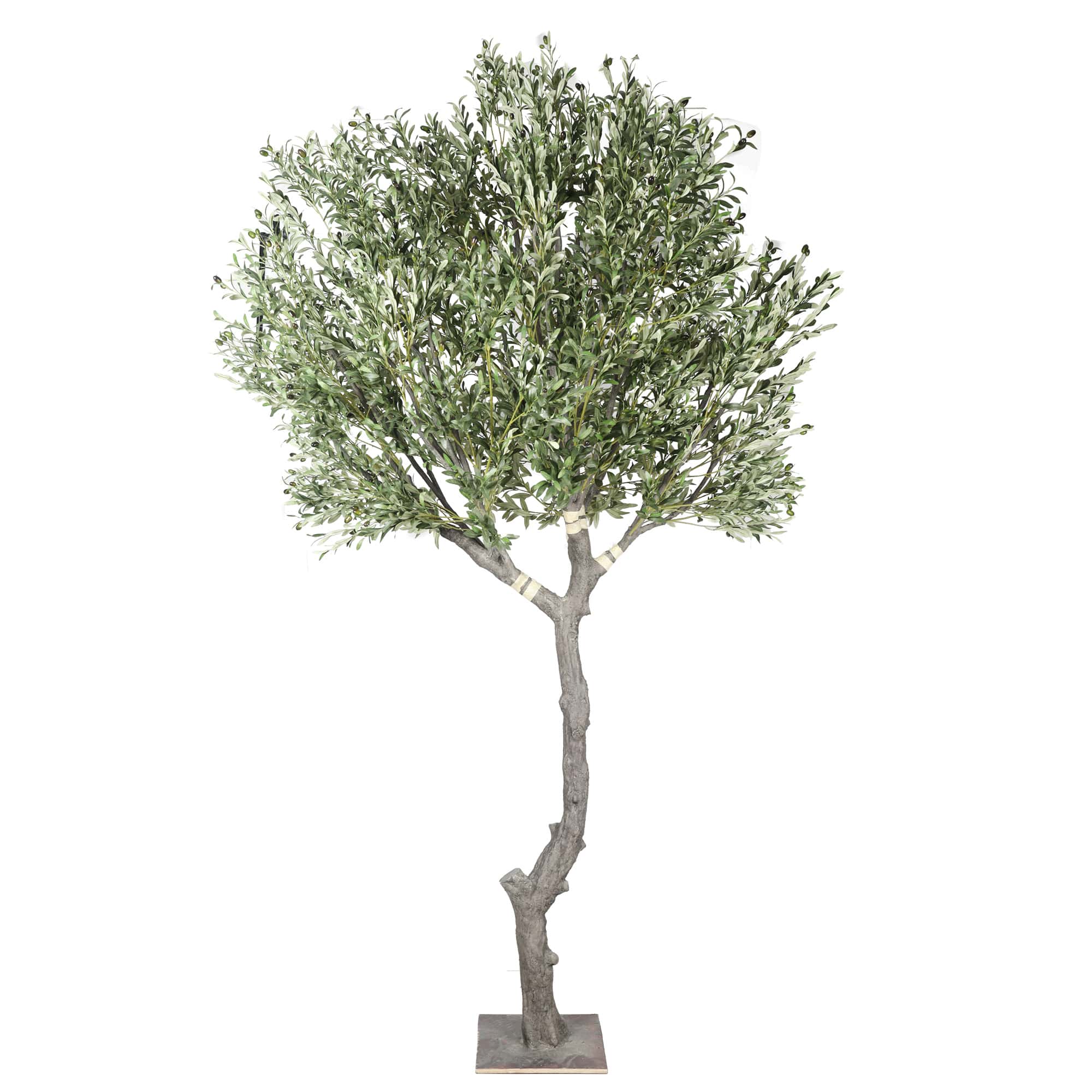 Nearly Natural Extra Large Olive Tree with Olives 285cm 3