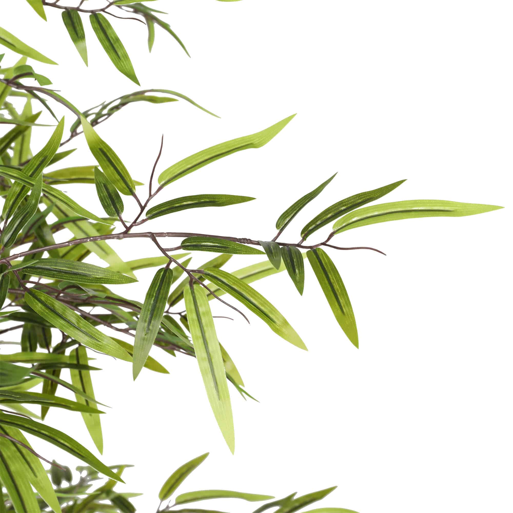 Premium Dense Artificial Black Bamboo 180cm 4