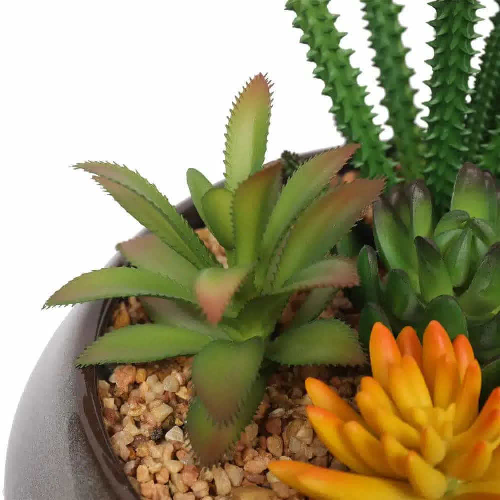 Potted Artificial Succulents with Round Decorative Bowl 19cm 3