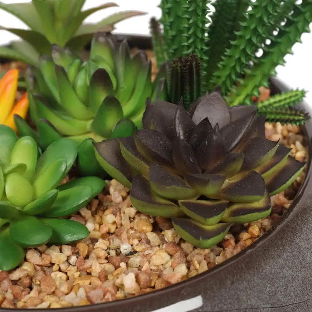 Potted Artificial Succulents with Round Decorative Bowl 19cm 4