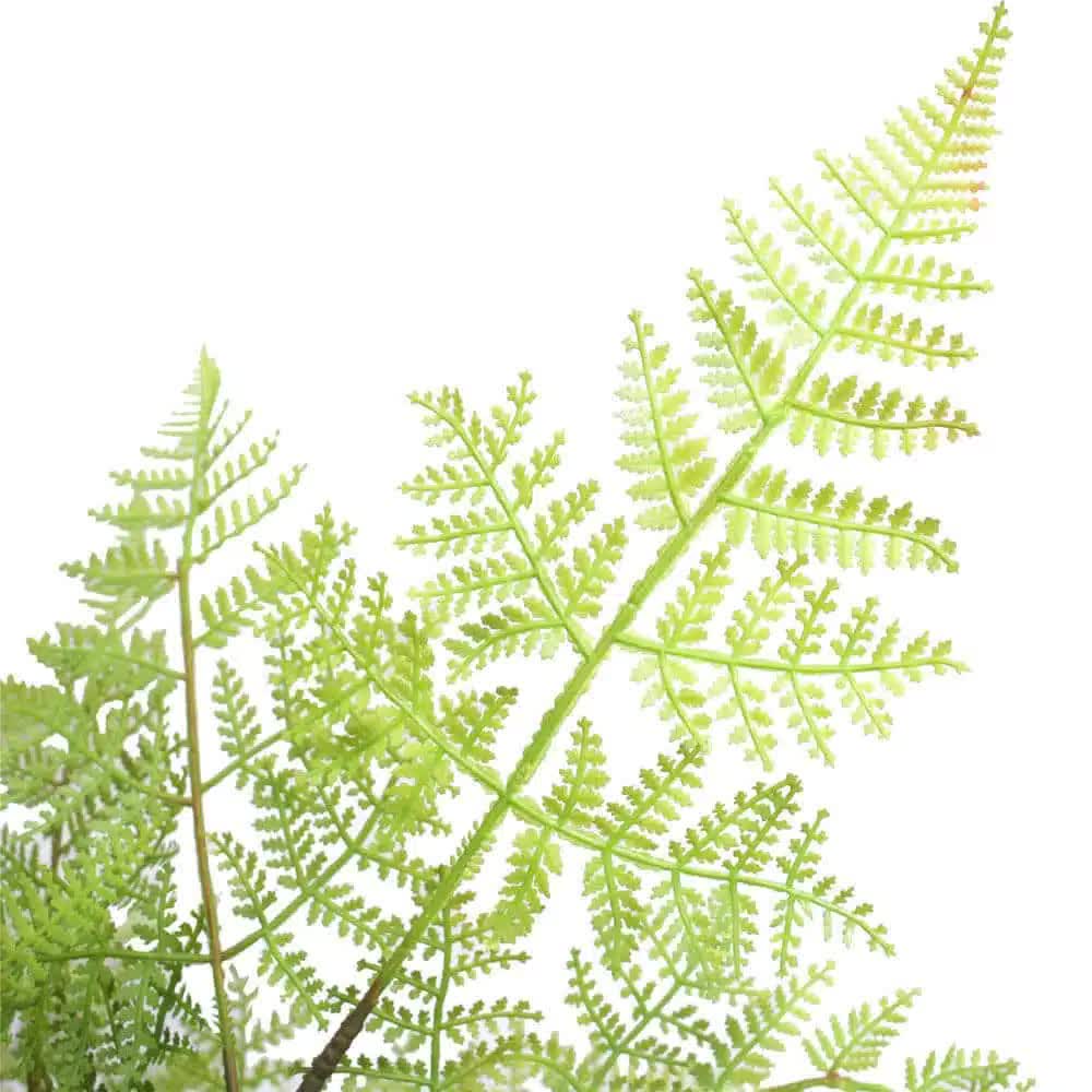 Faux Natural Fern Tree 90cm 3