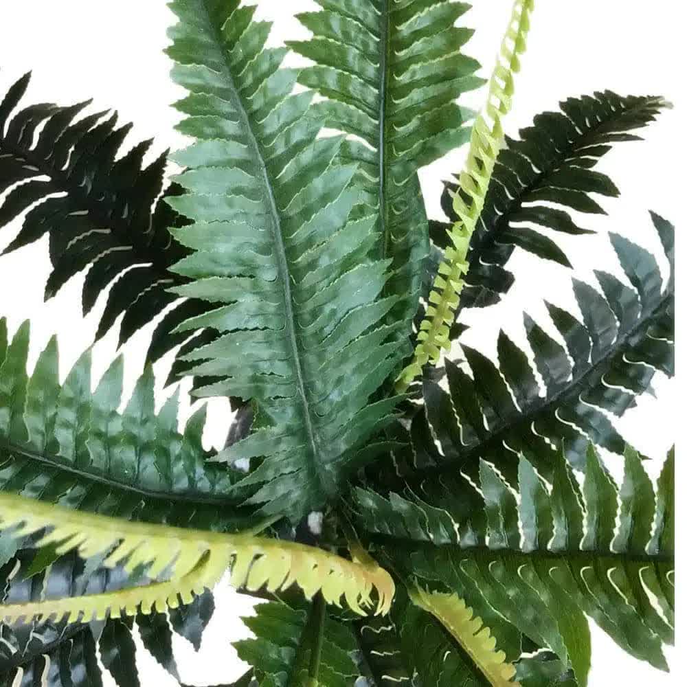Artificial Dark Green Boston Fern 60cm 3