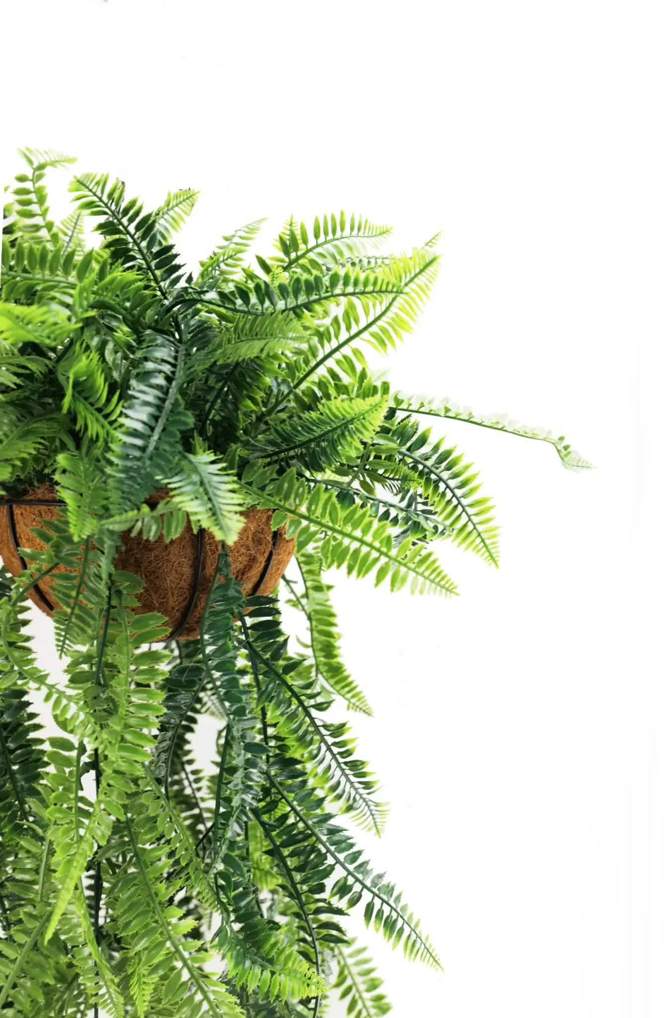 Artificial Hanging Fern Basket UV Resistant 35cm x 125cm