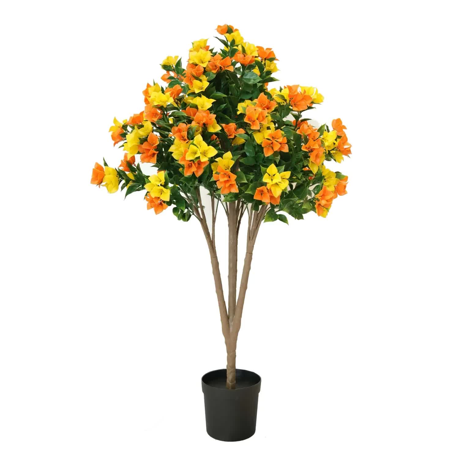 Flowering Yellow and Orange Bougainvillea Tree 120cm UV Resistant 3