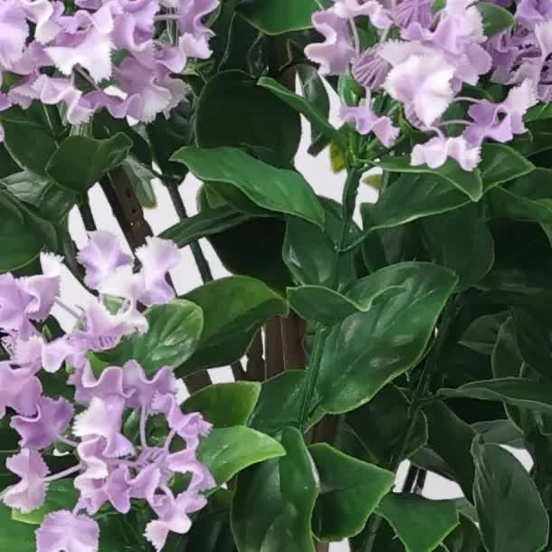 Flowering Lilac Crepe Myrtle Tree 90cm UV Resistant 3