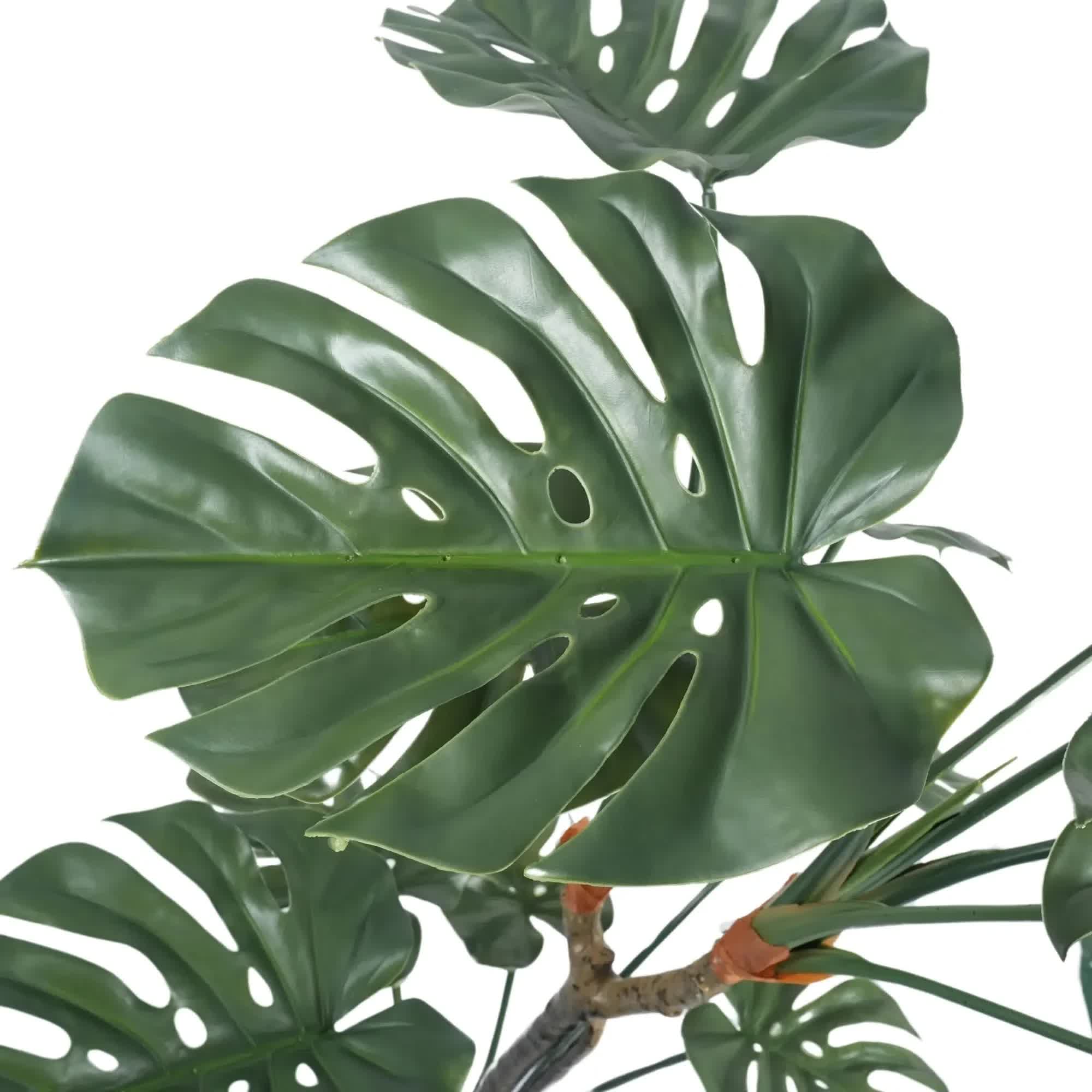 Premium Potted Monstera Split Leaf 150cm UV Resistant 3