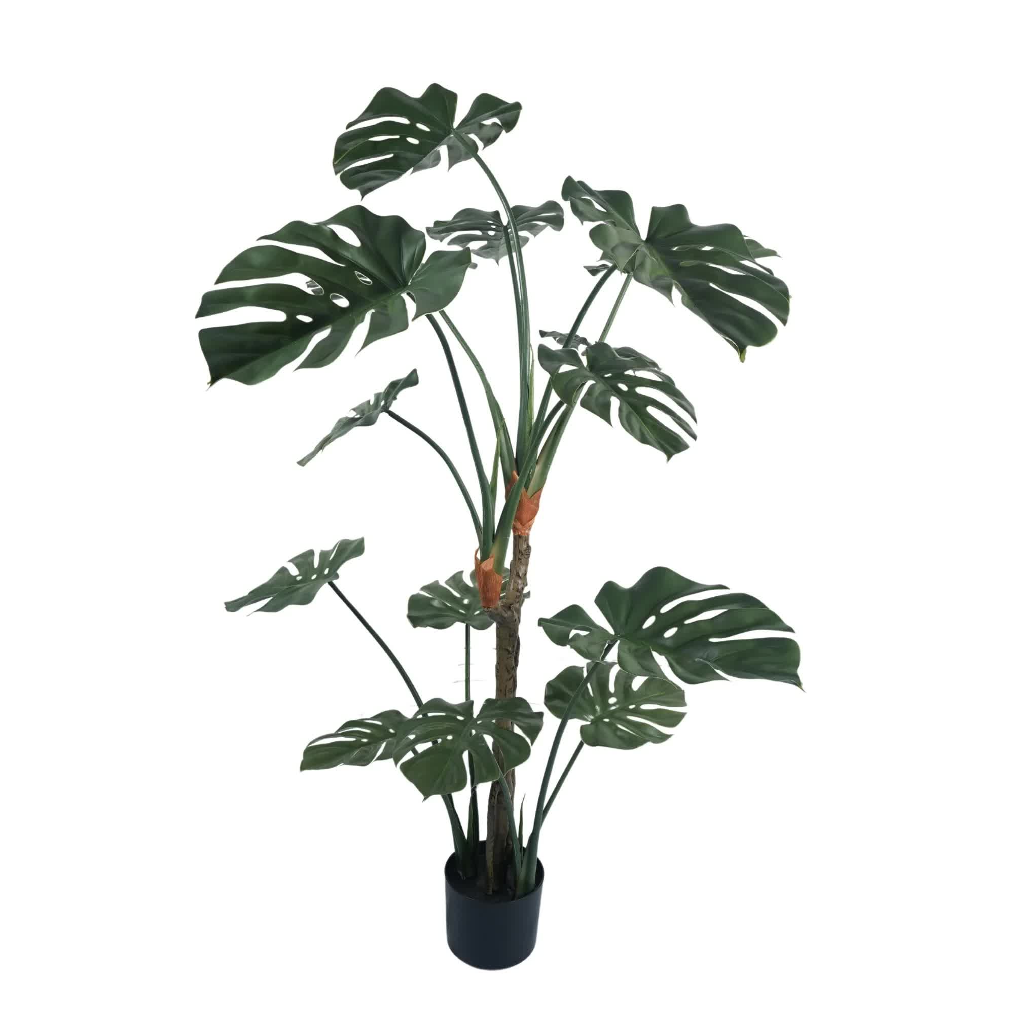 Premium Potted Monstera Split Leaf 150cm UV Resistant 5