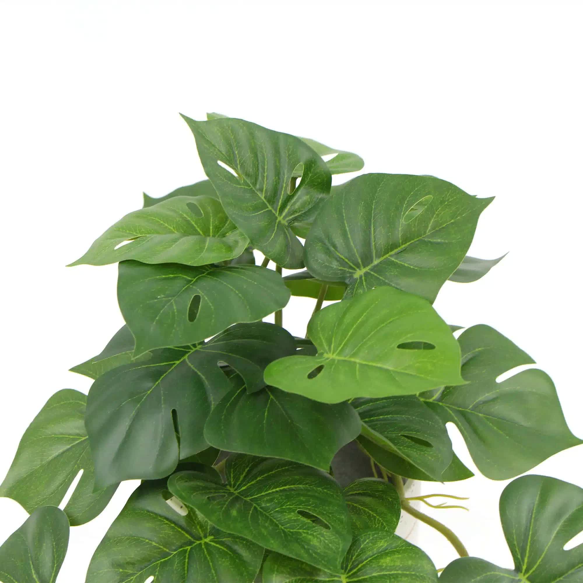 Decorative Artificial Monstera Adansonii Plant in Ceramic Bowl 30cm 3