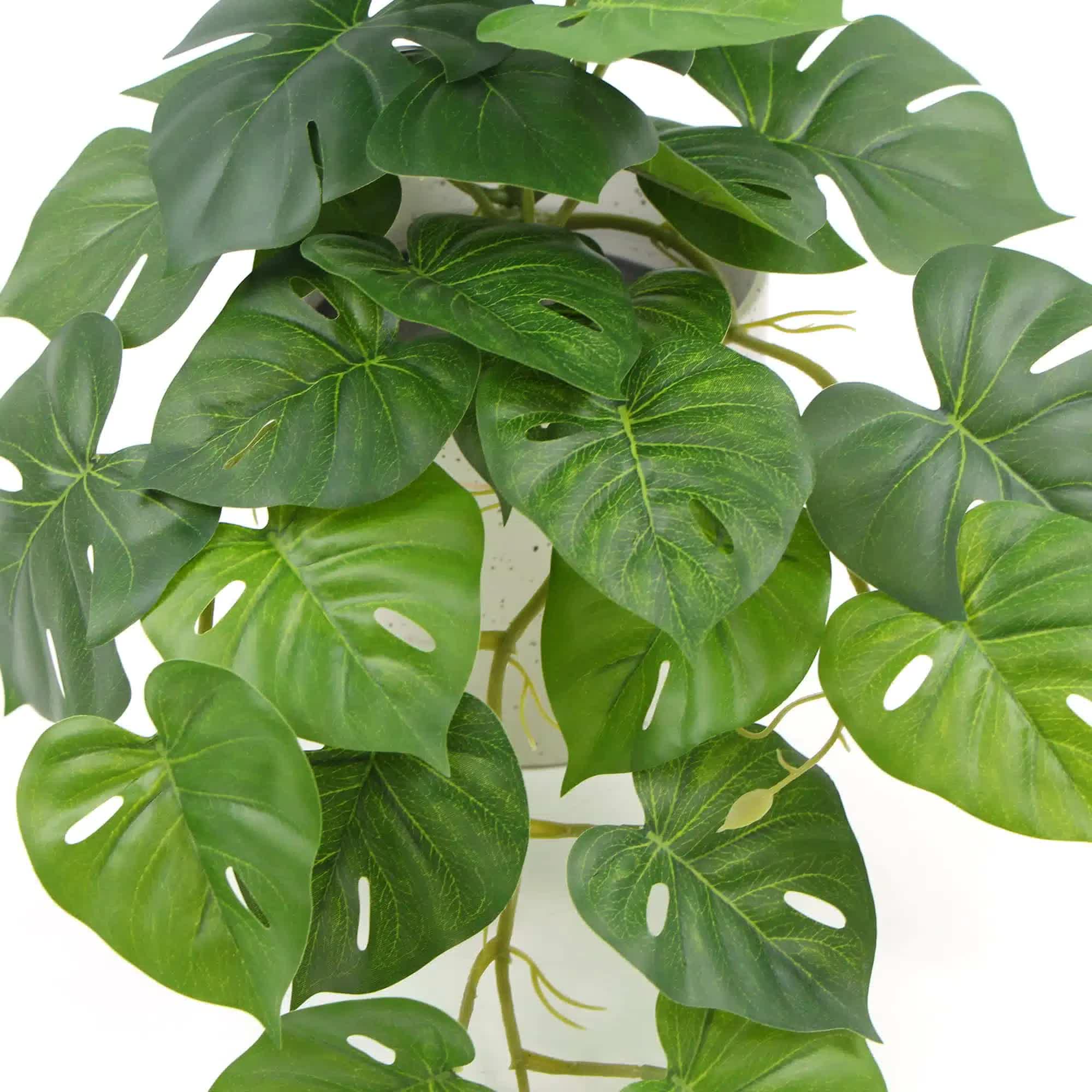 Decorative Artificial Monstera Adansonii Plant in Ceramic Bowl 30cm 4