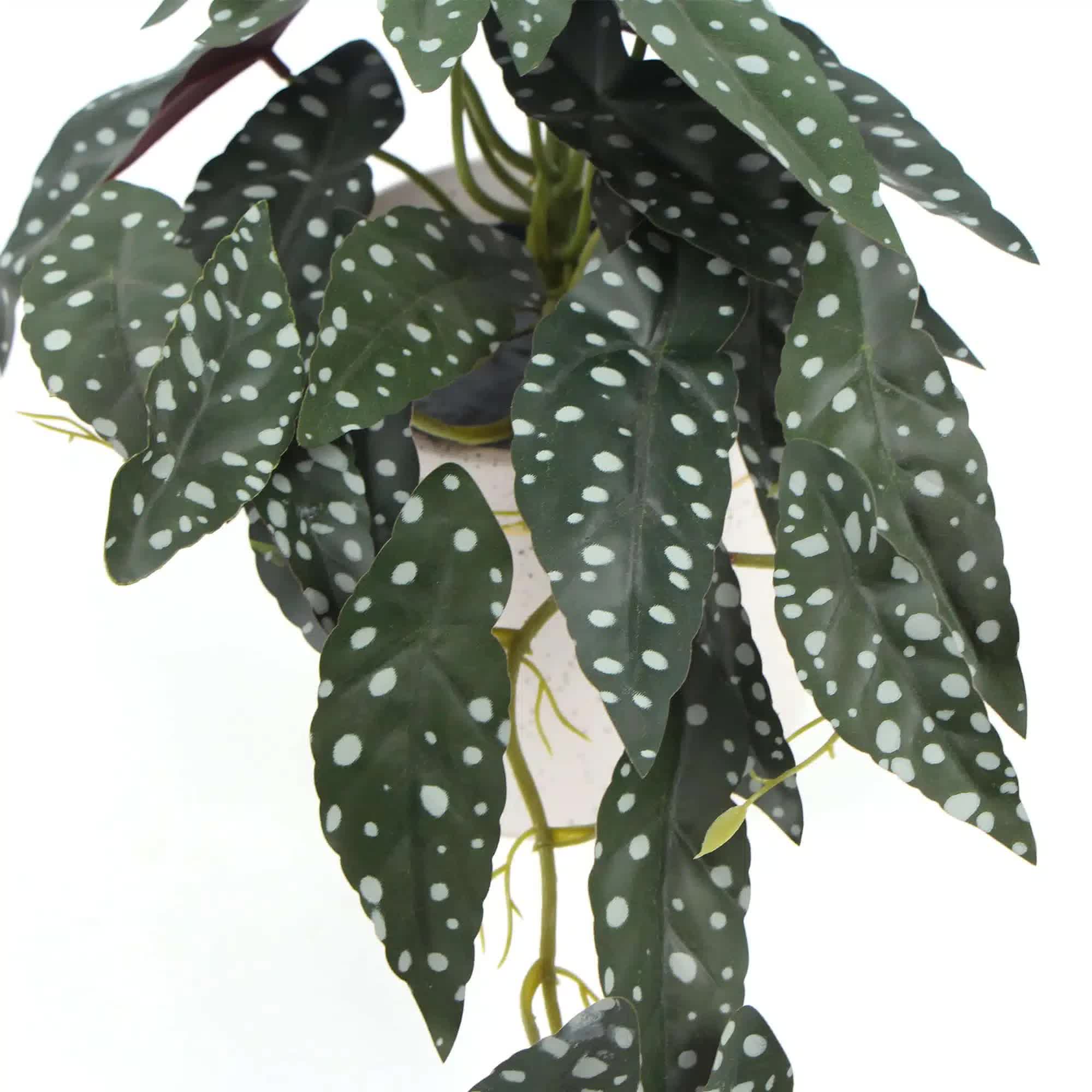 Artificial Begonia Maculata Plant In Decorative Bowl 30cm 4