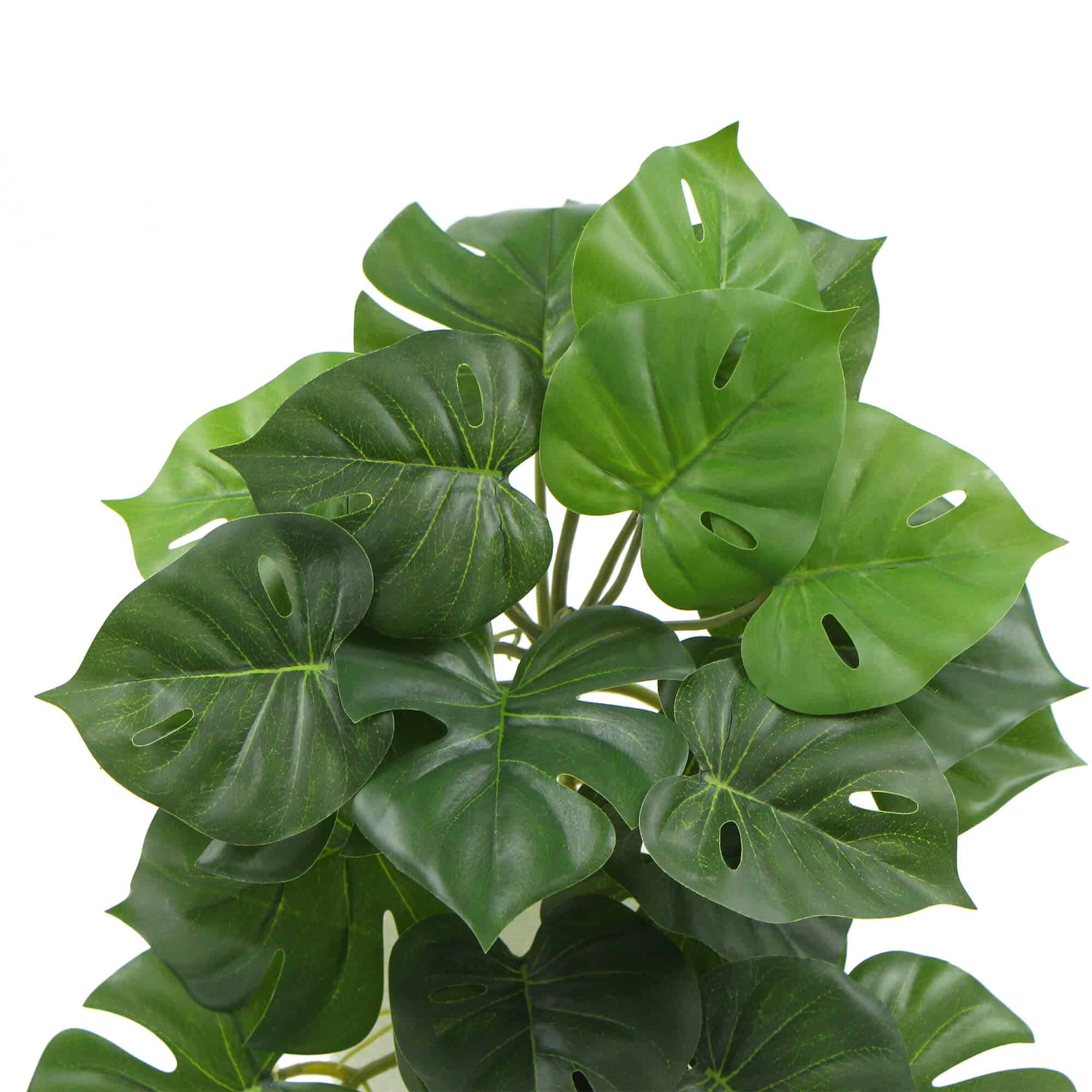 Artificial Monstera Adansonii Plant 50cm 3