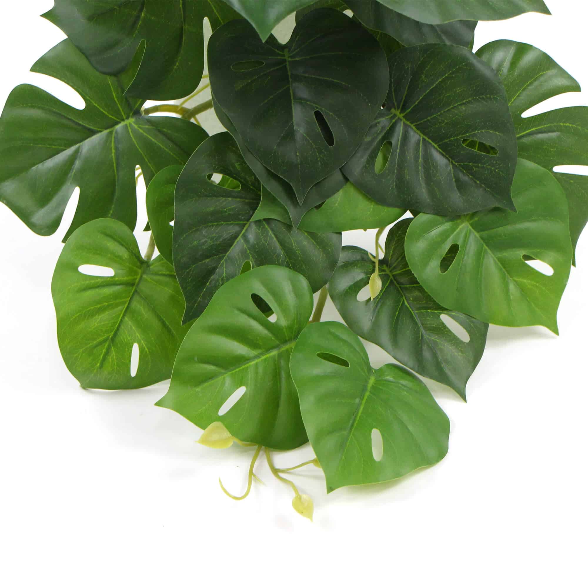 Artificial Monstera Adansonii Plant 50cm 4