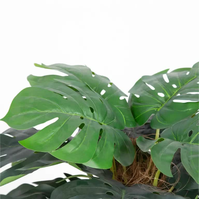 Premium Artificial Monstera Deliciosa Tree 100cm 4