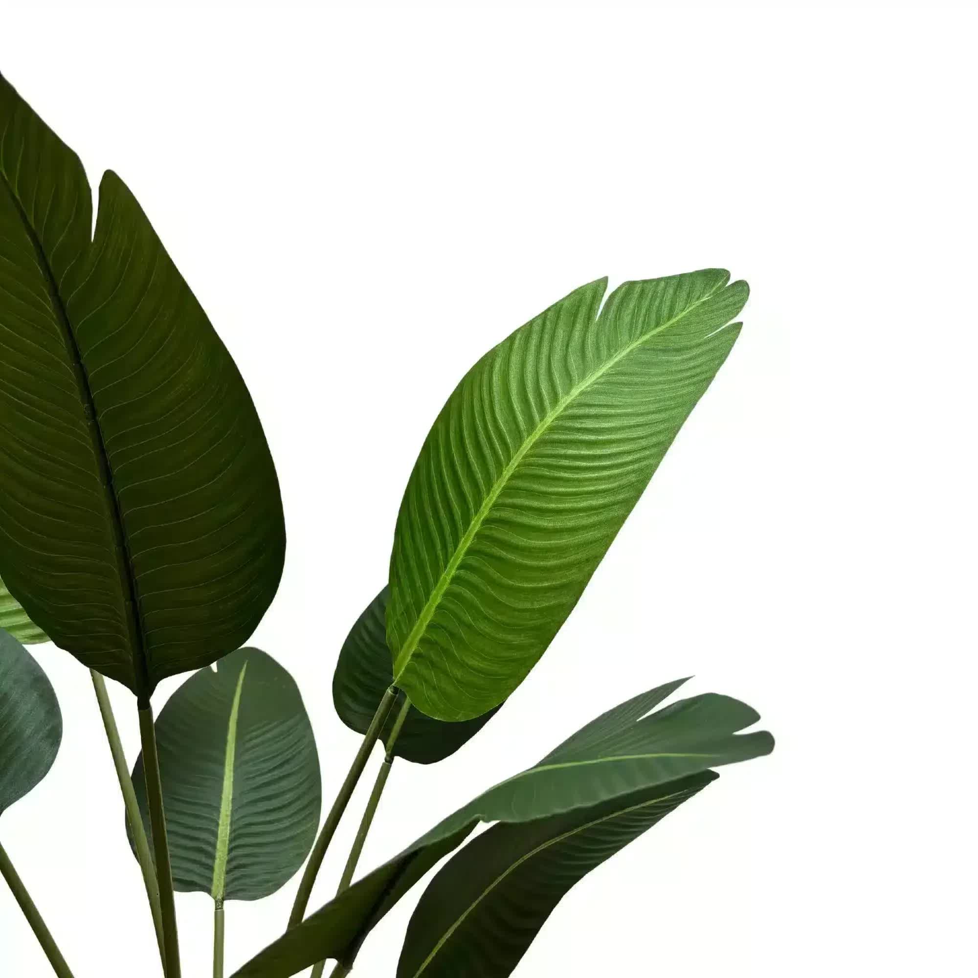 Grand Artificial Potted Travellers Palm (Banana Palm Tree) 120cm 4