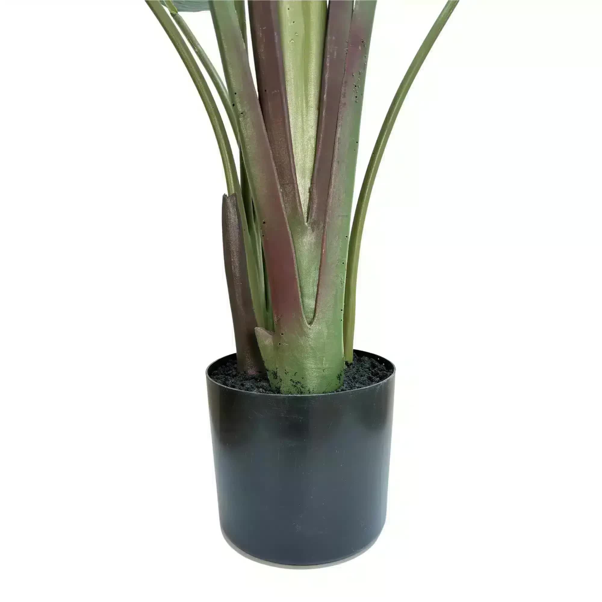 Grand Artificial Potted Travellers Palm (Banana Palm Tree) 180cm 3