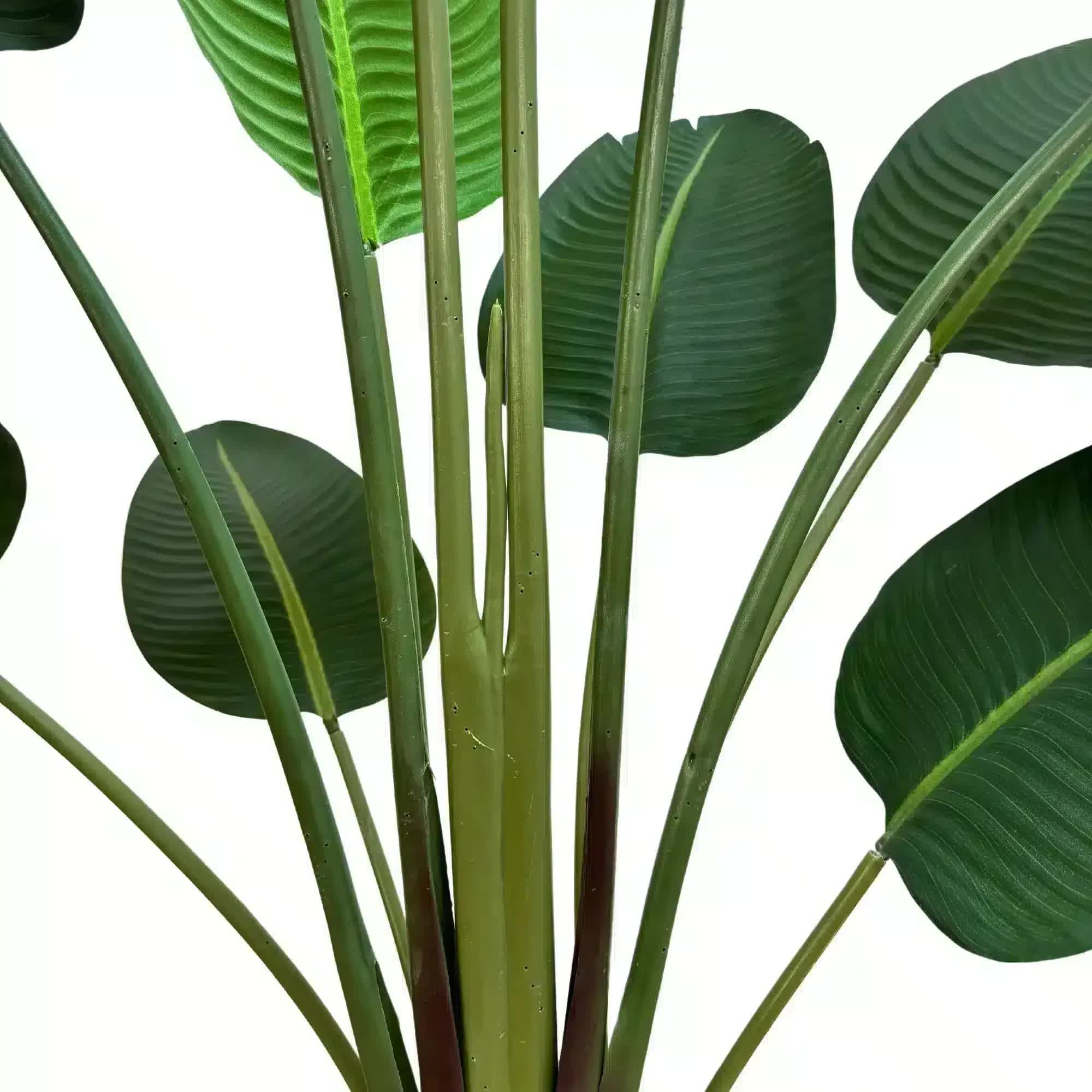 Grand Artificial Potted Travellers Palm (Banana Palm Tree) 180cm 4