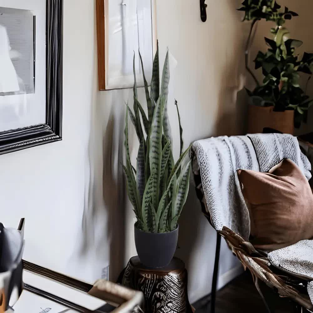 Artificial Snake Plant Sansevieria UV Resistant 90cm 5