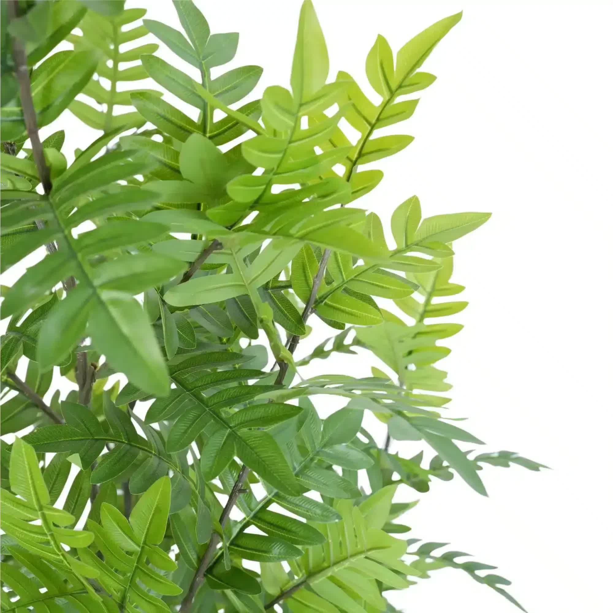 Premium Real Touch Artificial Bracken Palm Tree 180cm 3