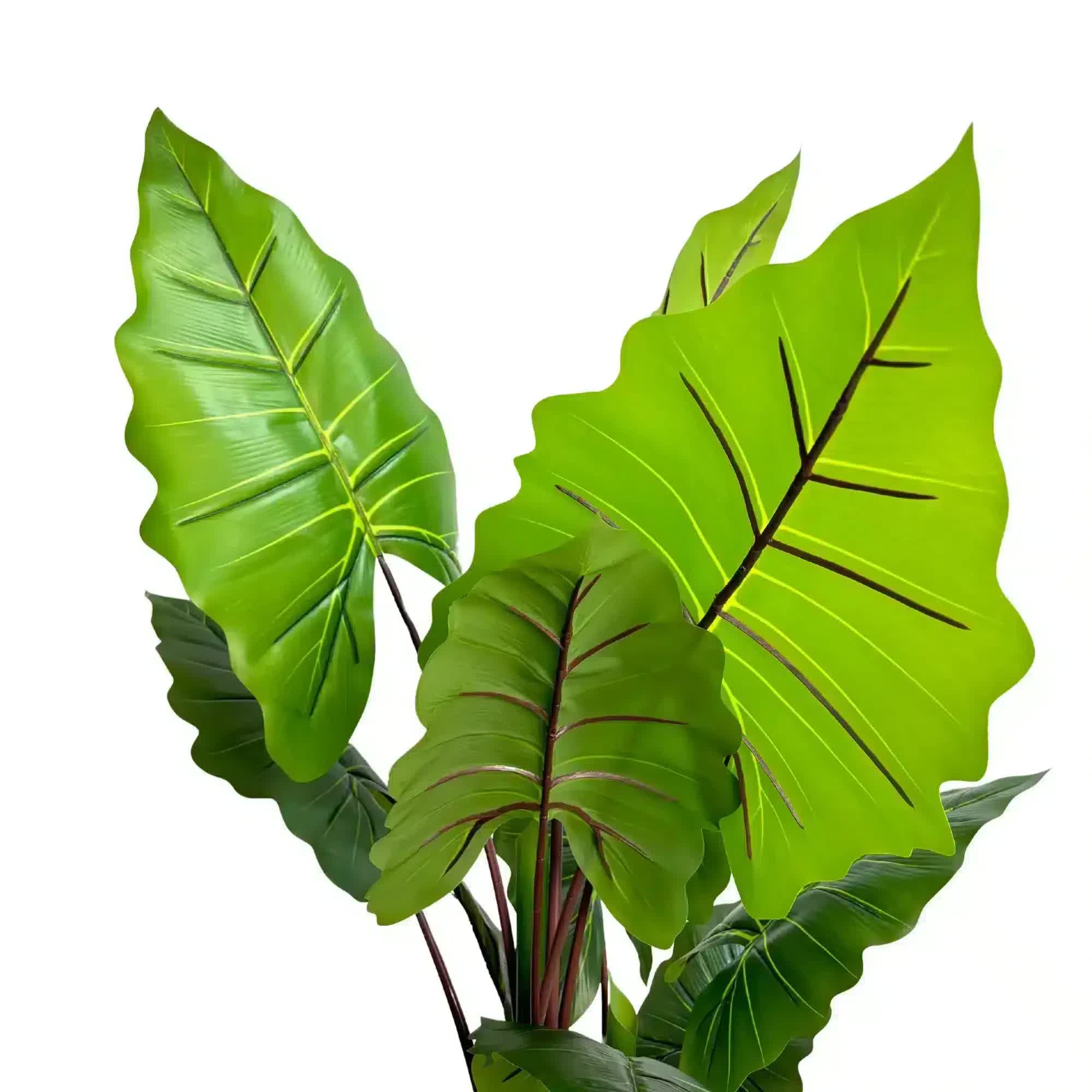 Nearly Natural Artificial Taro Elephant Ear Palm 170cm 3