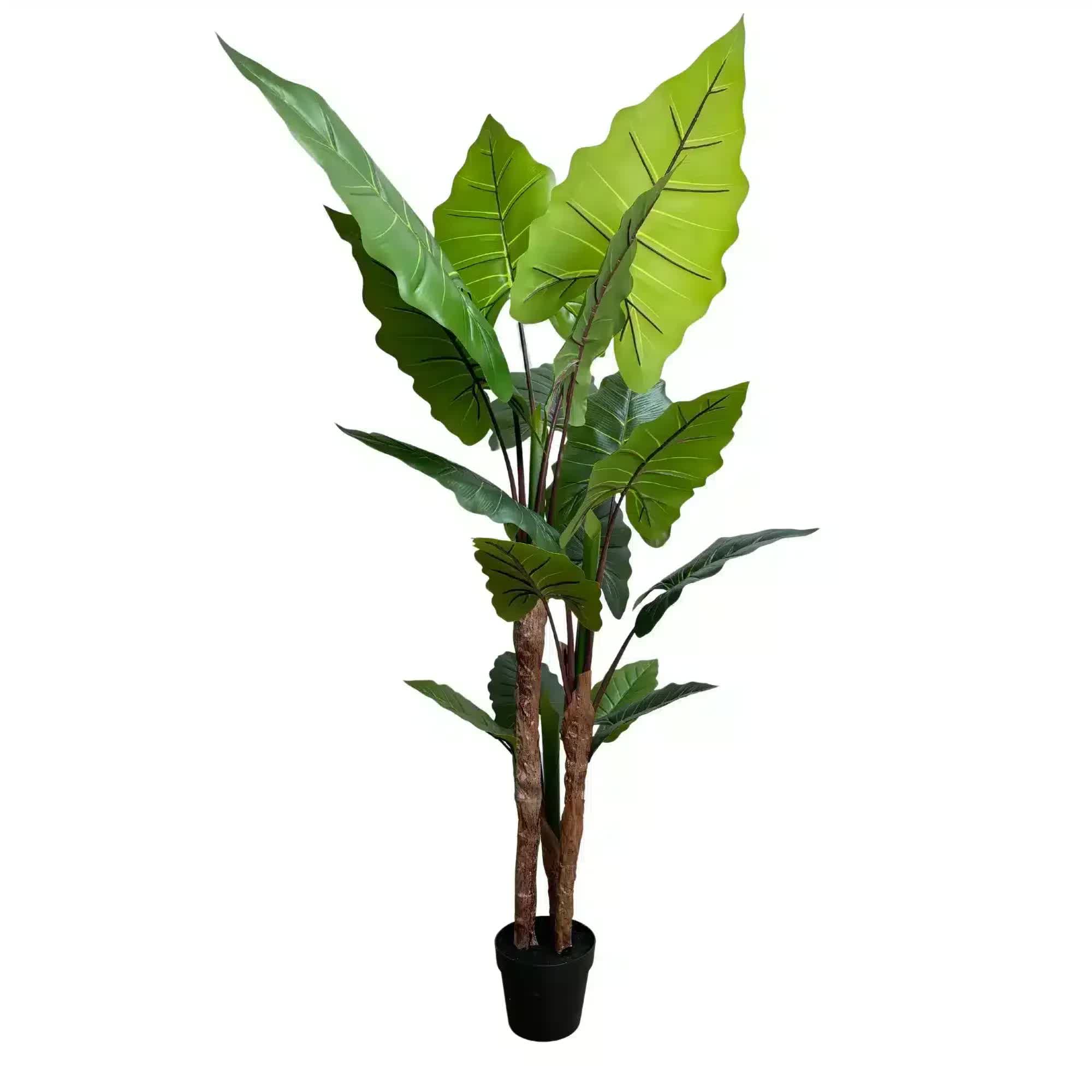 Nearly Natural Artificial Taro Elephant Ear Palm 170cm 4