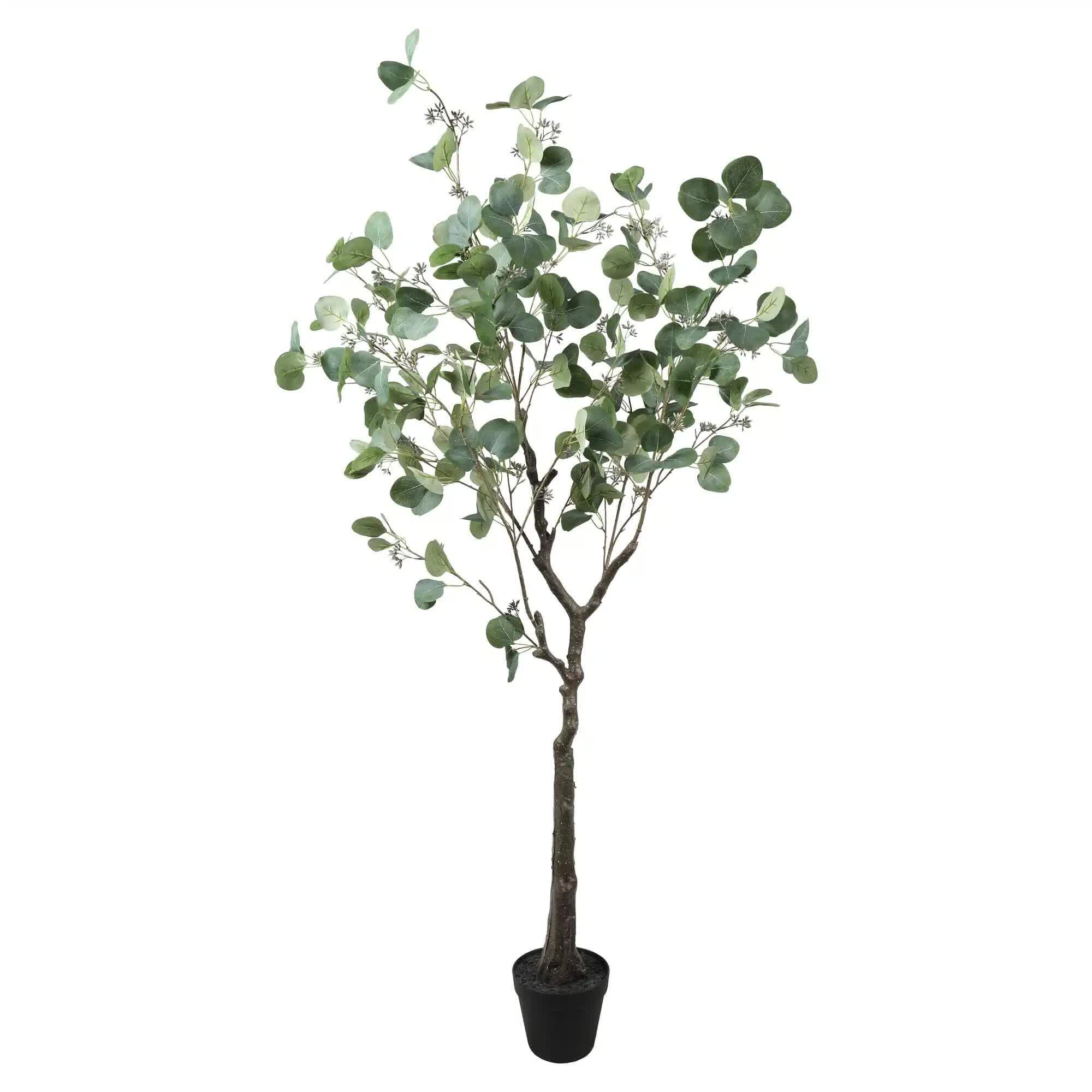 Artificial Eucalyptus Tree (Red Box Eucalyptus Polyanthemos) 150cm 3