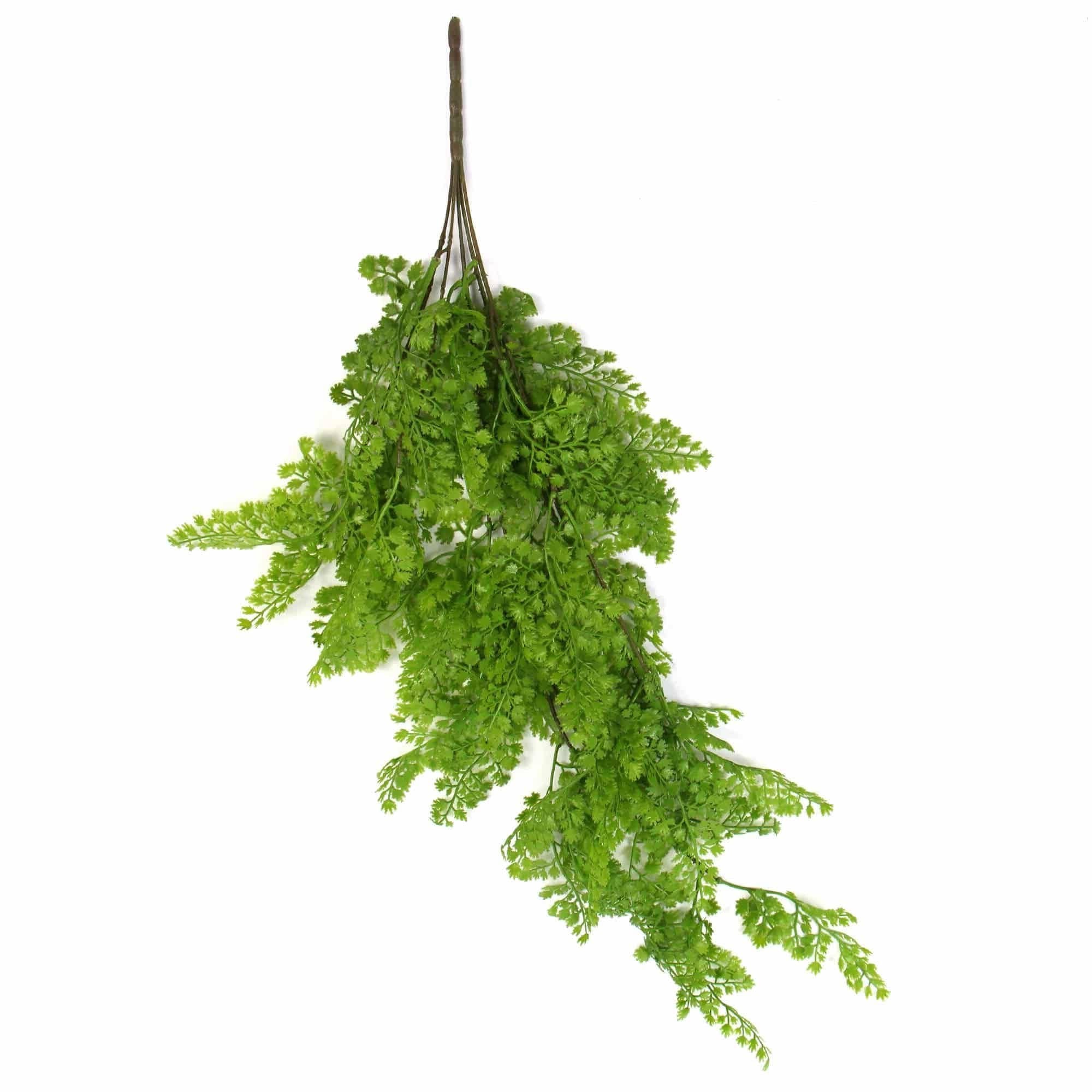 Hanging Native Green Dense Maiden Hair Fern Bush UV Resistant 80cm 3