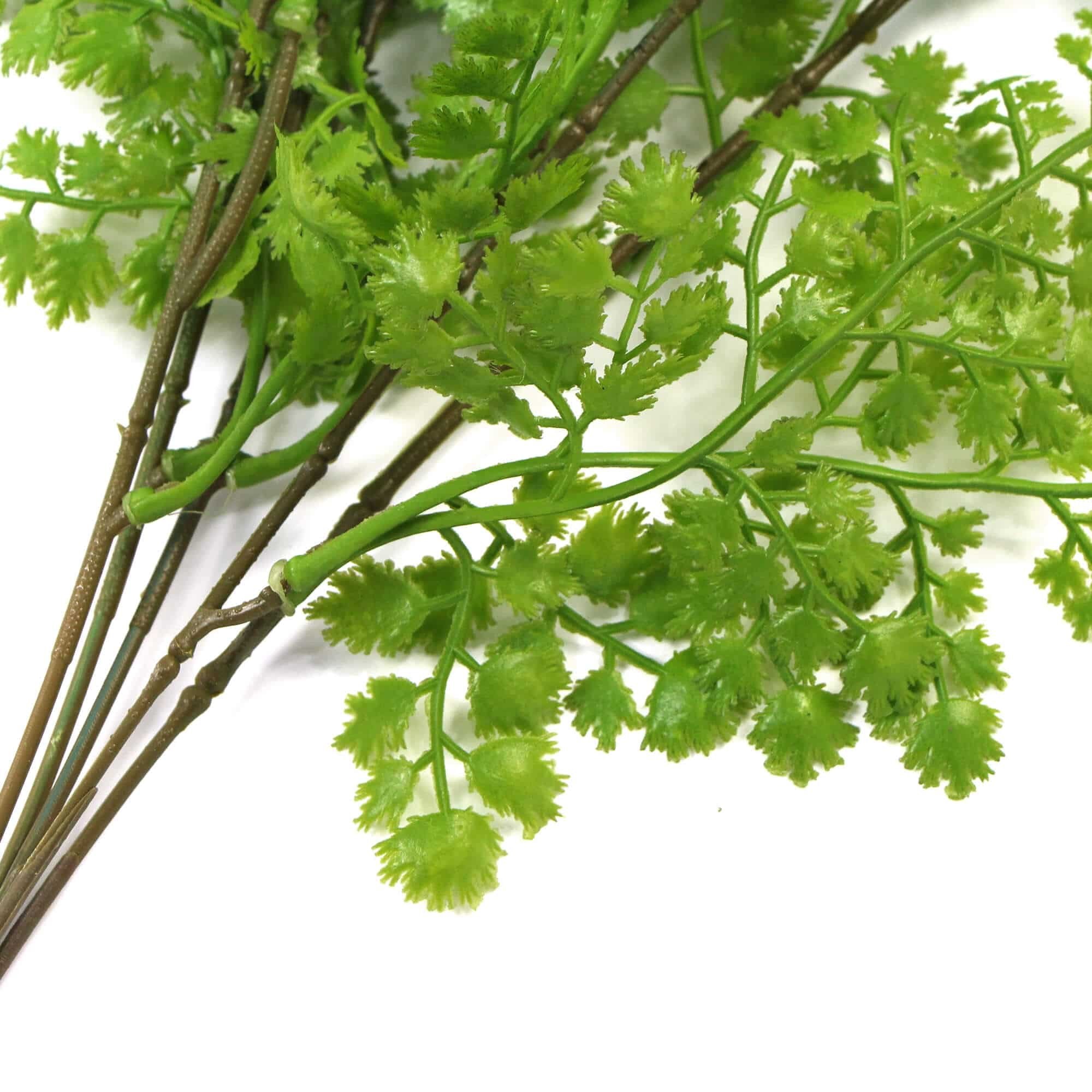 Hanging Native Green Dense Maiden Hair Fern Bush UV Resistant 80cm 5