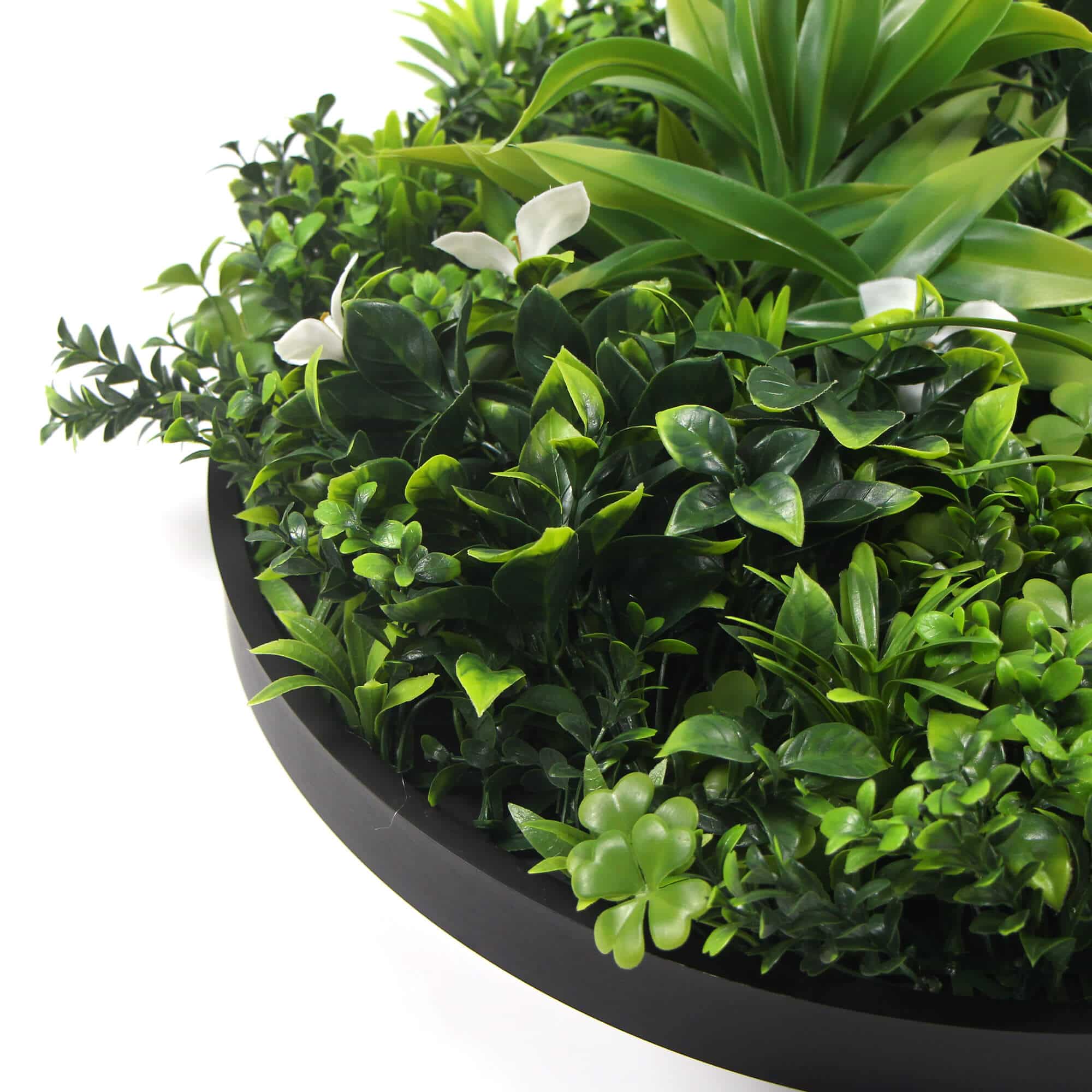 Slimline Flowering White Artificial Green Wall Disc UV Resistant 75cm (Black Frame)