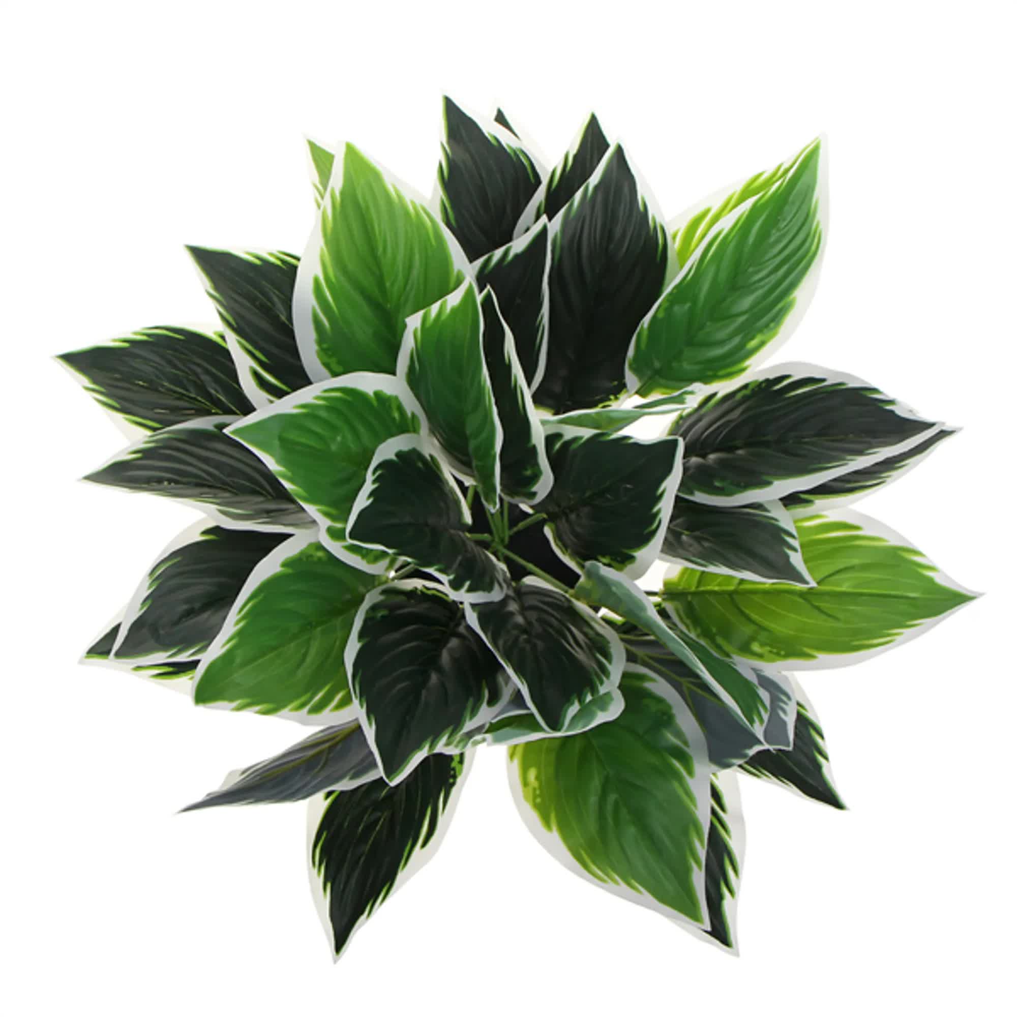 Dense Potted Artificial Calathea Plant 35cm 3