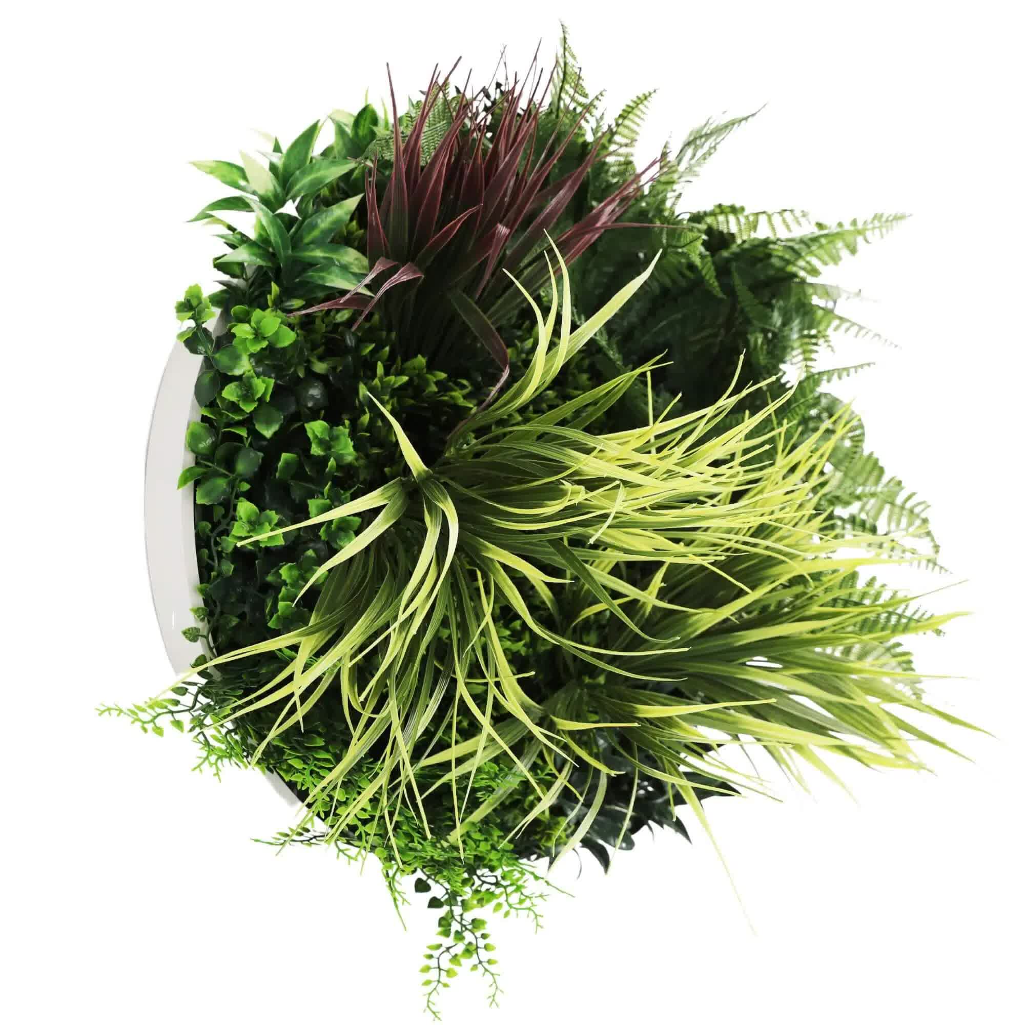 Slimline Artificial Green Wall Disc Art 50cm White Grassy UV Resistant (White) 3