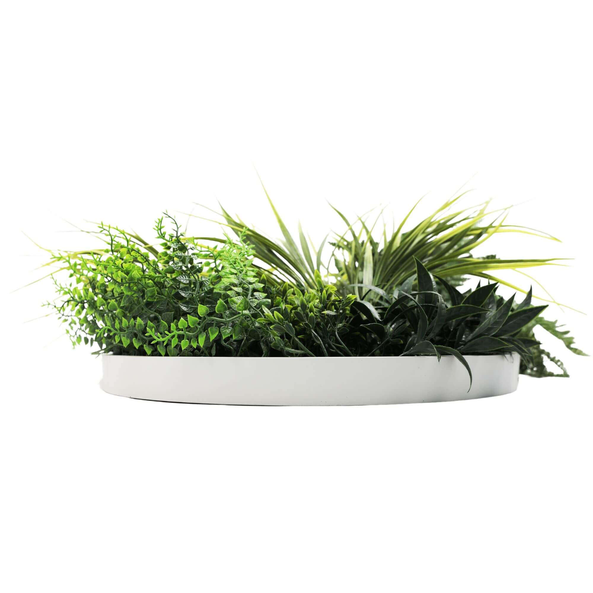 Slimline Artificial Green Wall Disc Art 50cm White Grassy UV Resistant (White) 4