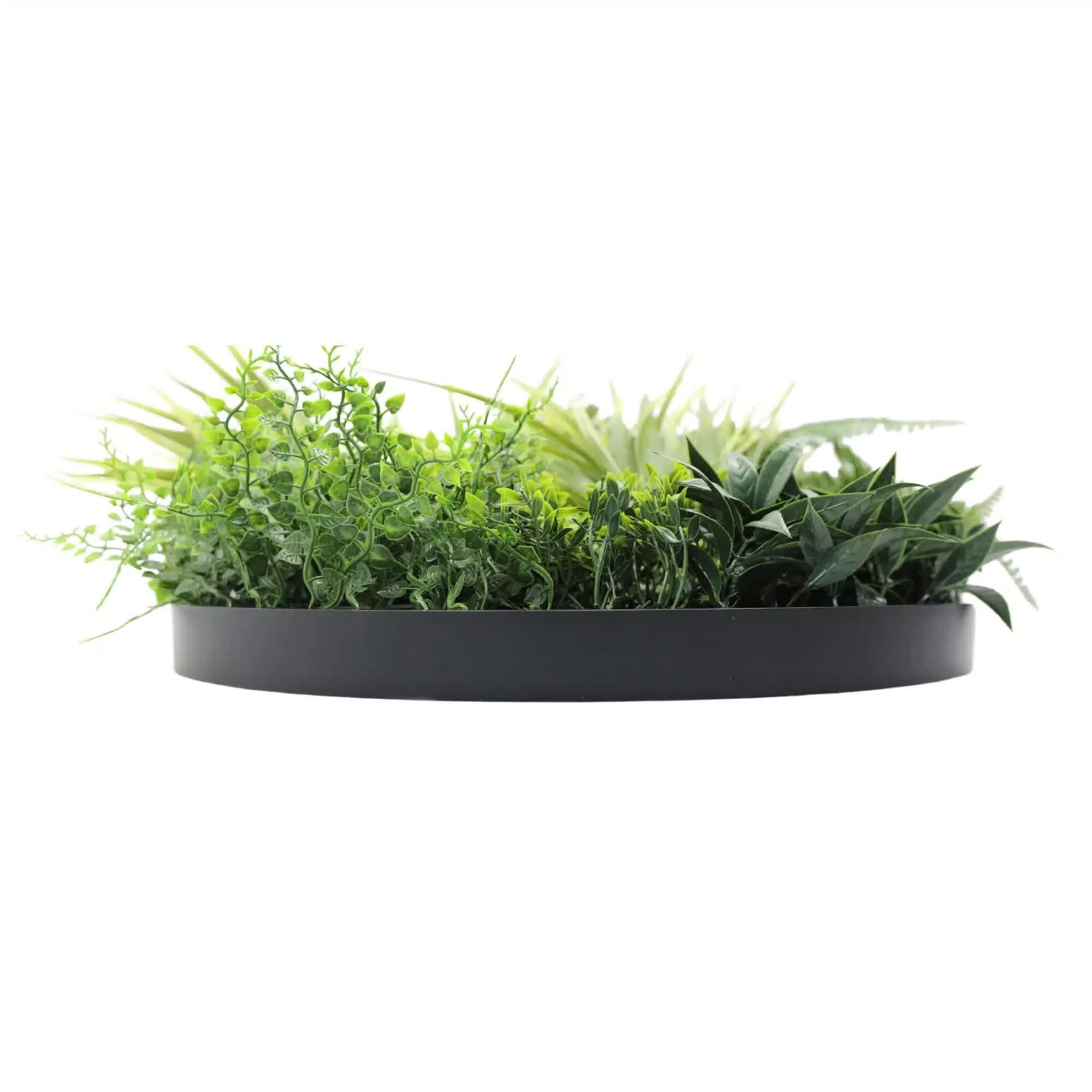 Slimline Artificial Green Wall Disc Art 50cm Grassy Fern Fields UV Resistant (Black) 3