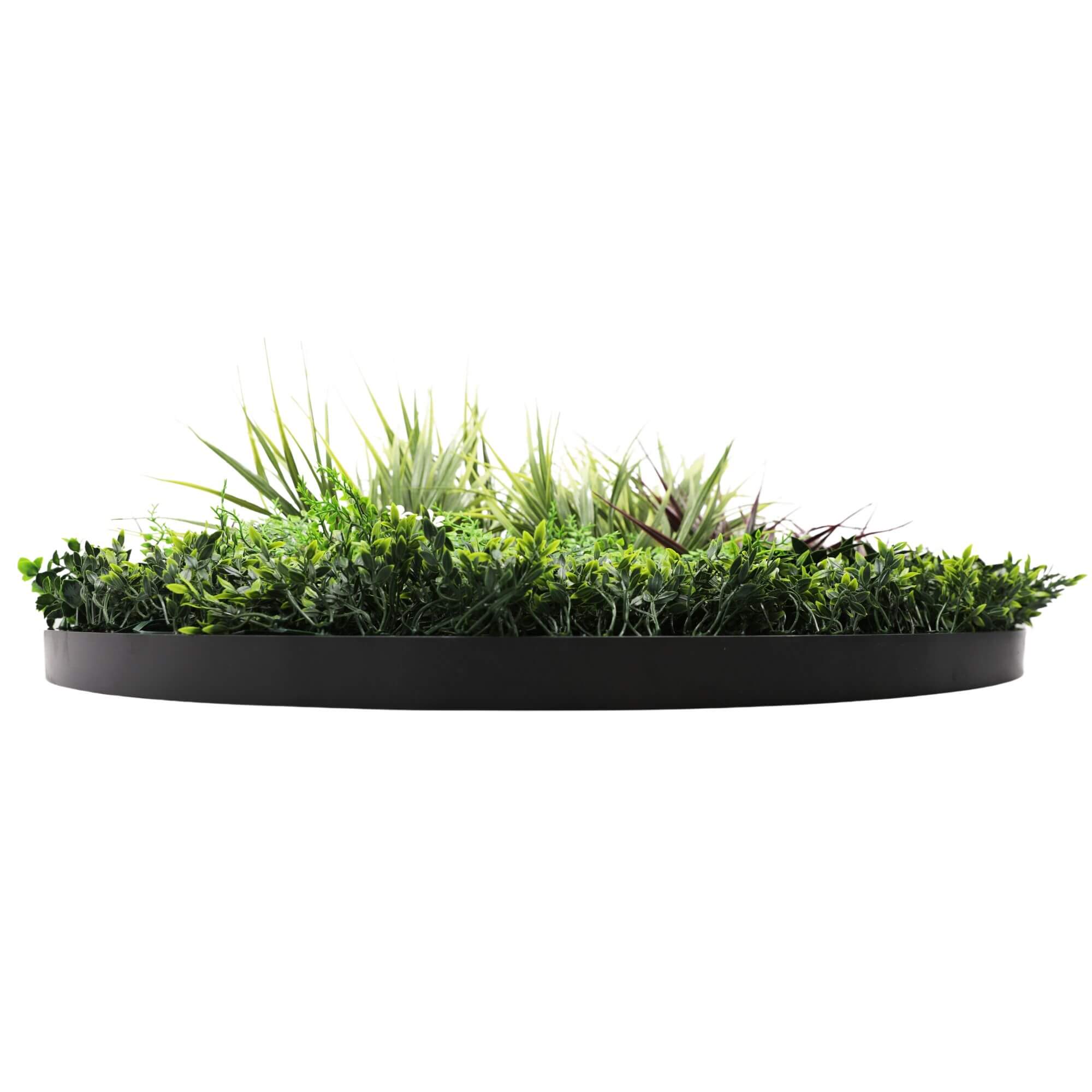 Slimline Artificial Green Wall Disc Art 100cm Grassy Fern UV Resistant (Black) 4