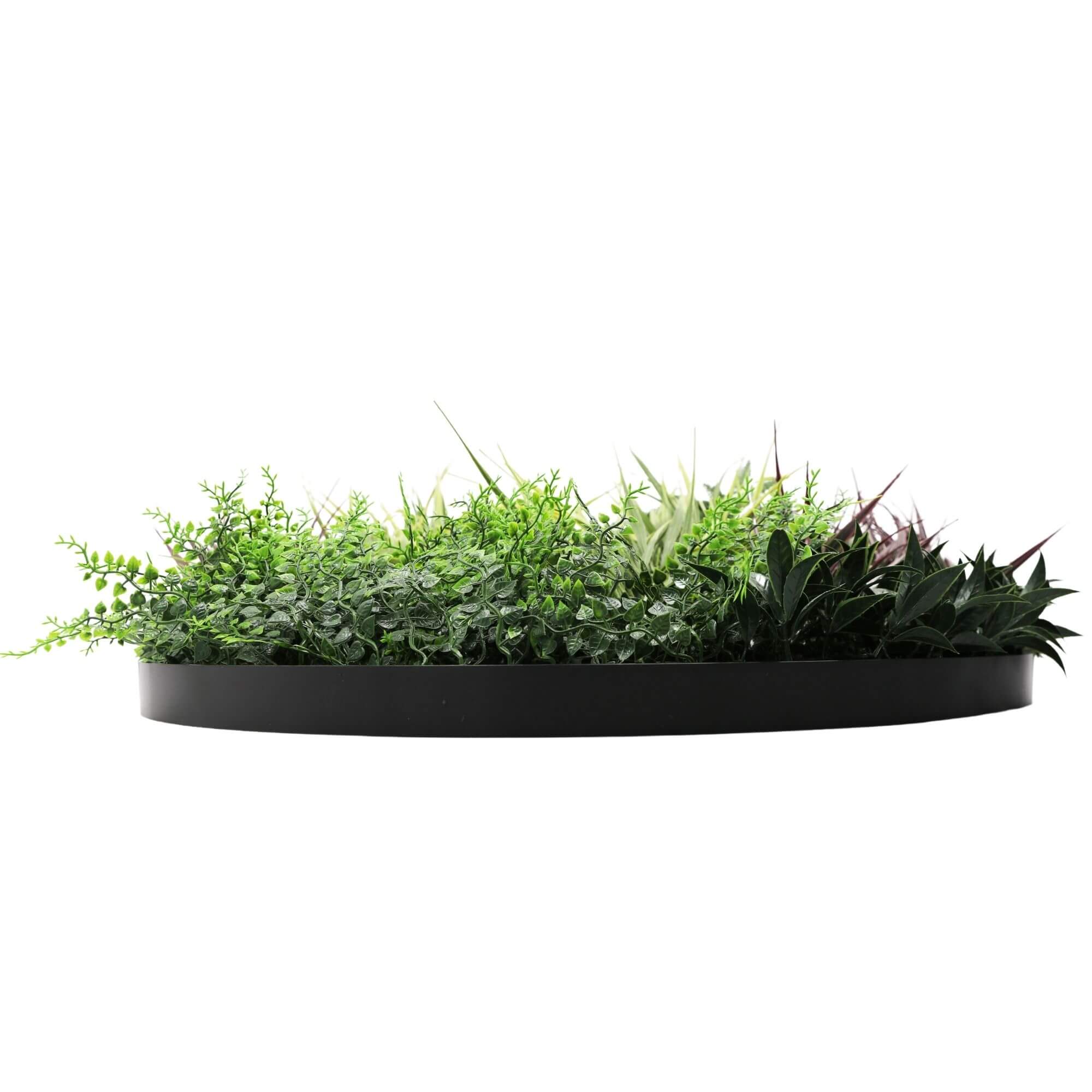 Slimline Artificial Green Wall Disc Art 80cm Grassy Fern UV Resistant (Black) 4