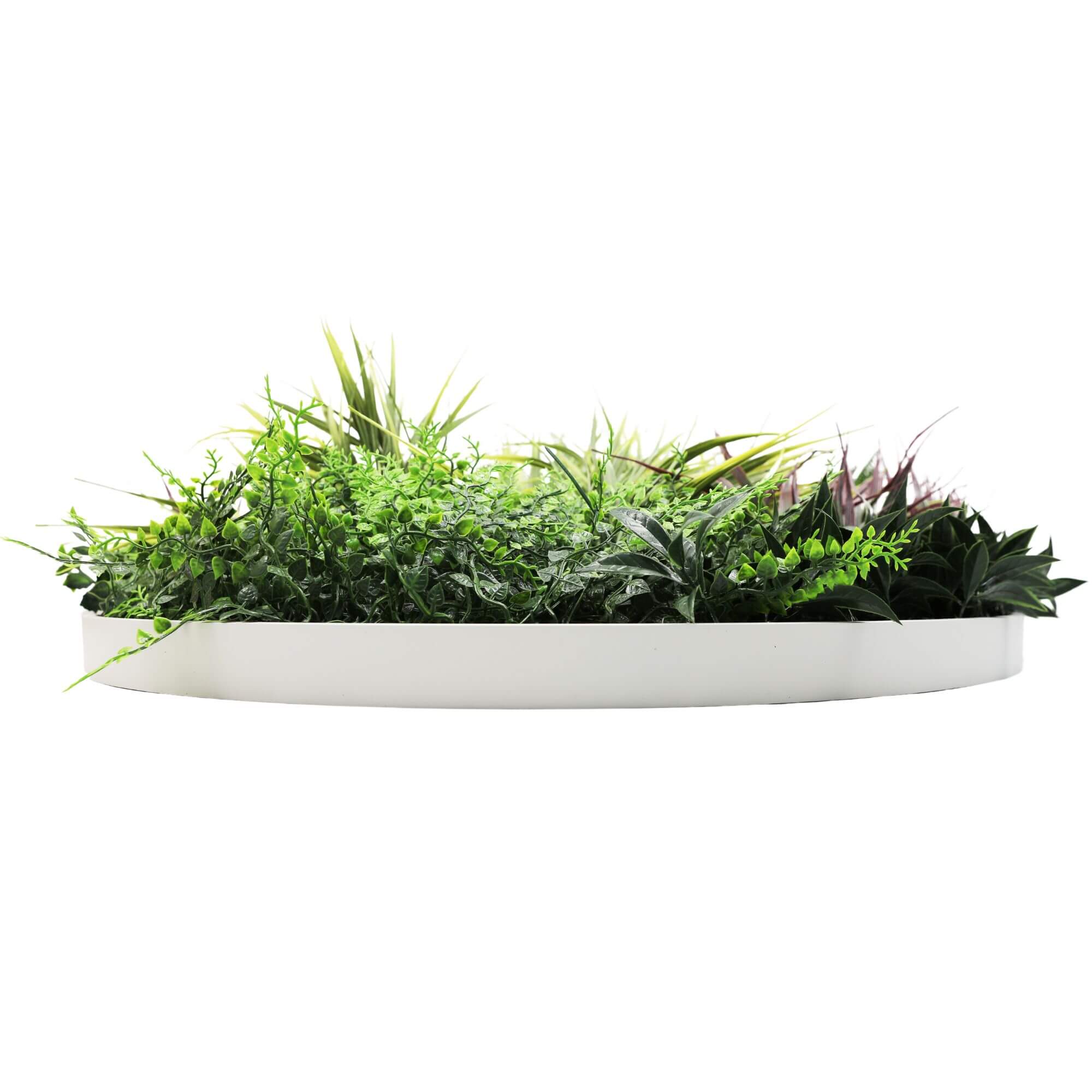 Slimline Artificial Green Wall Disc Art 80cm Grassy Fern UV Resistant (White) 3