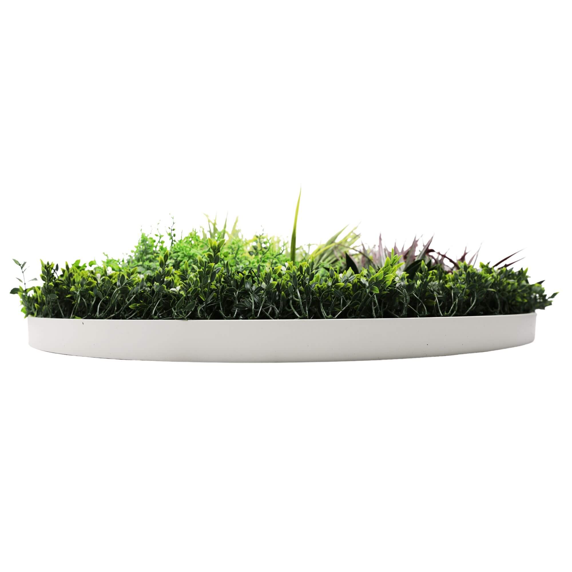 Slimline Artificial Green Wall Disc Art 100cm Grassy Fern UV Resistant (White) 4