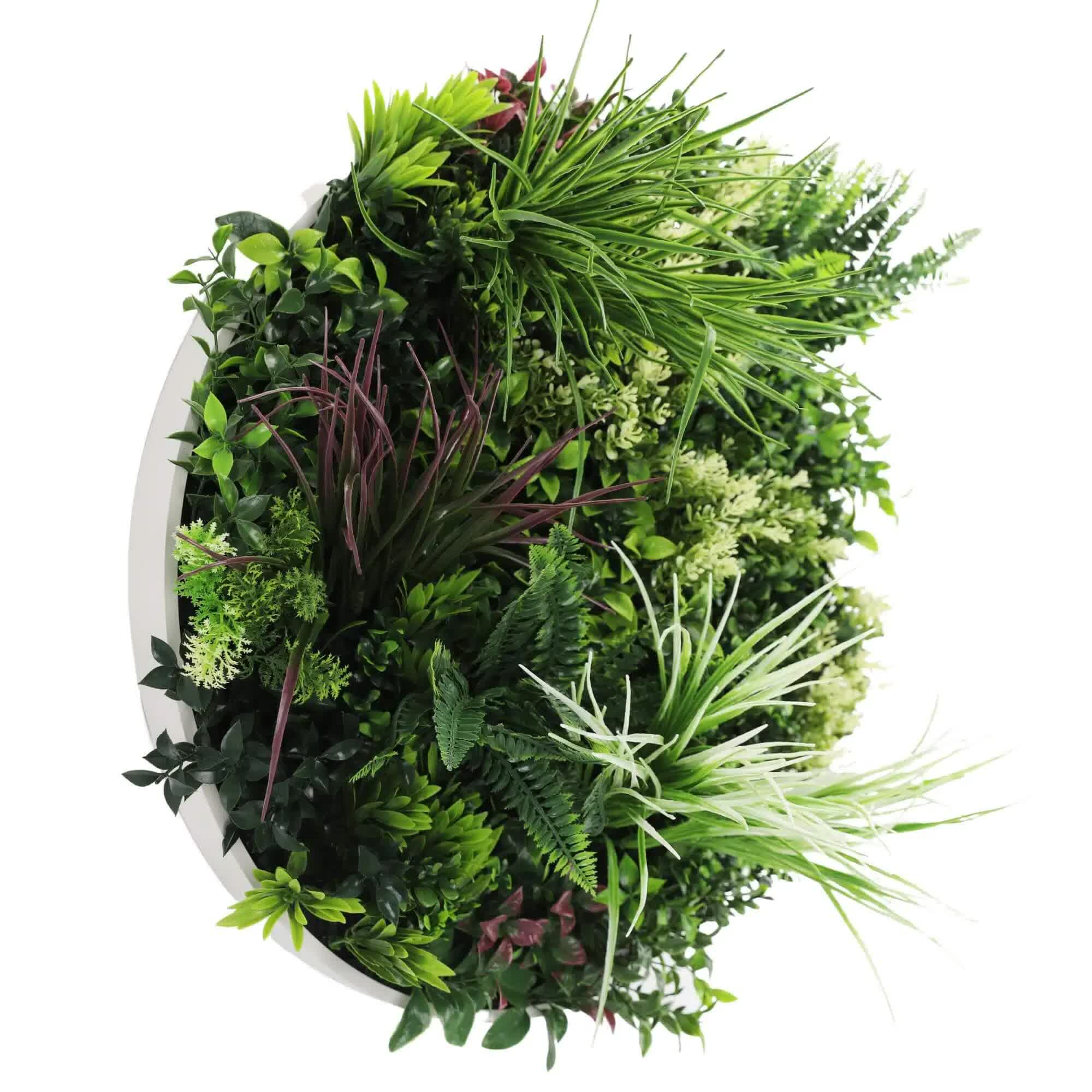 Slimline Artificial Green Wall Disc Art 60cm Colour Fresh UV Resistant (White) 3