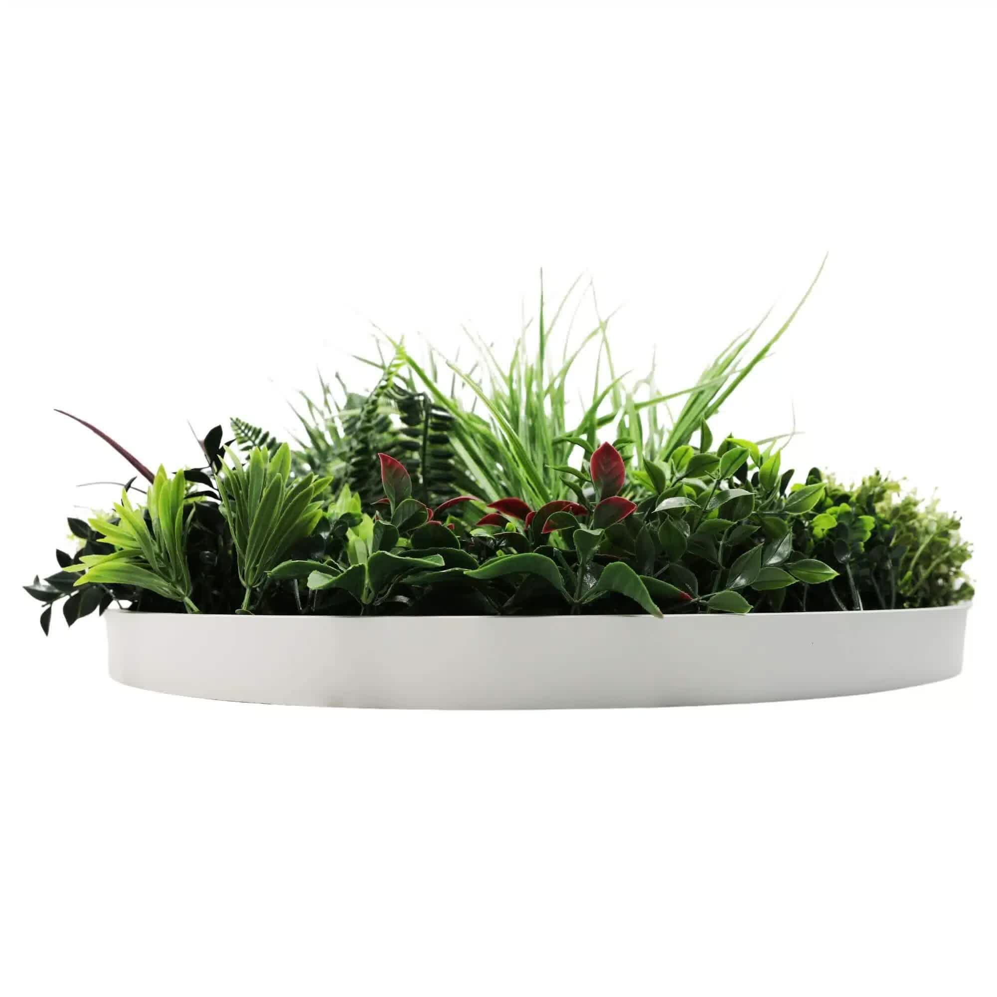 Slimline Artificial Green Wall Disc Art 60cm Colour Fresh UV Resistant (White) 4