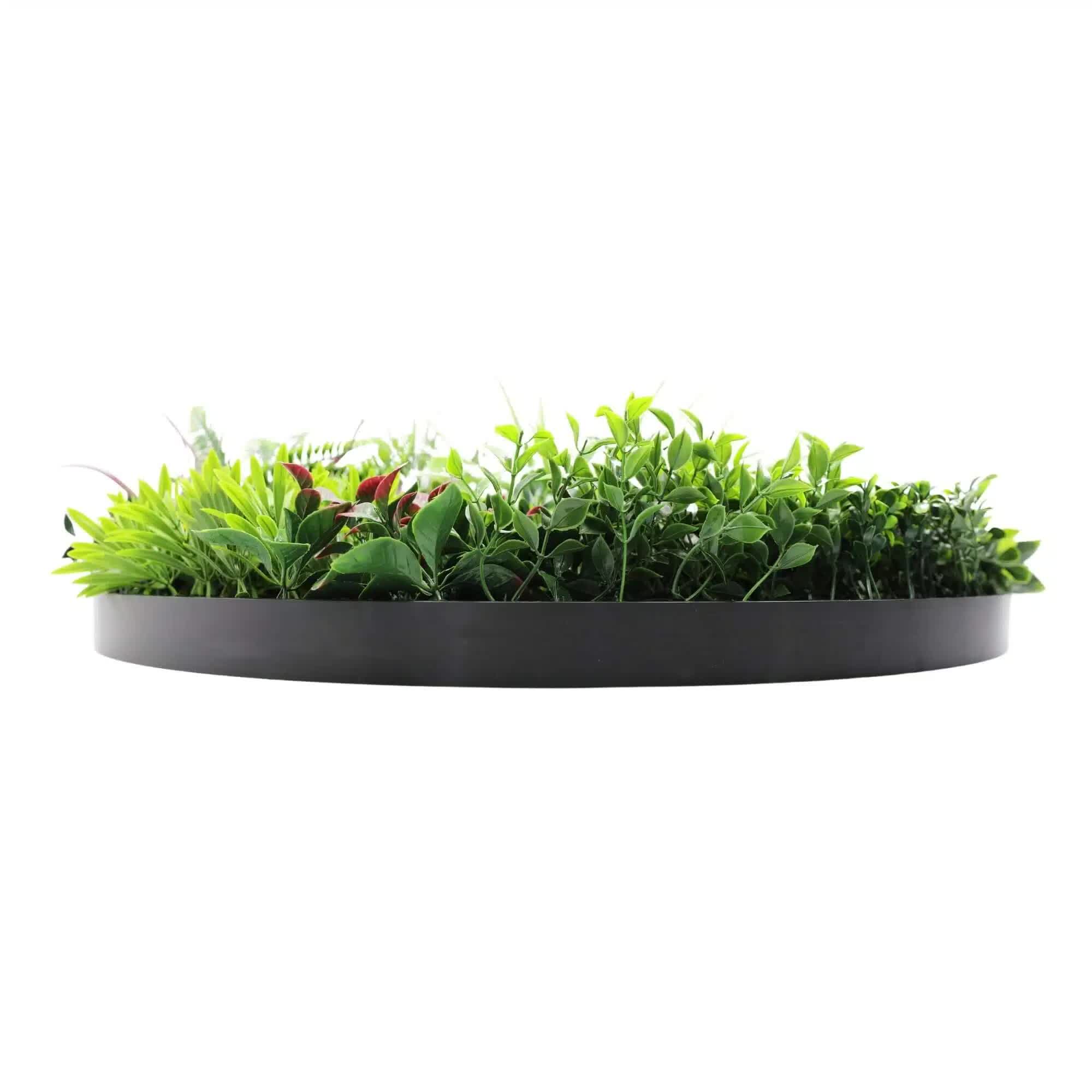 Slimline Artificial Green Wall Disc Art 80cm Colour Fresh UV Resistant (Black) 4