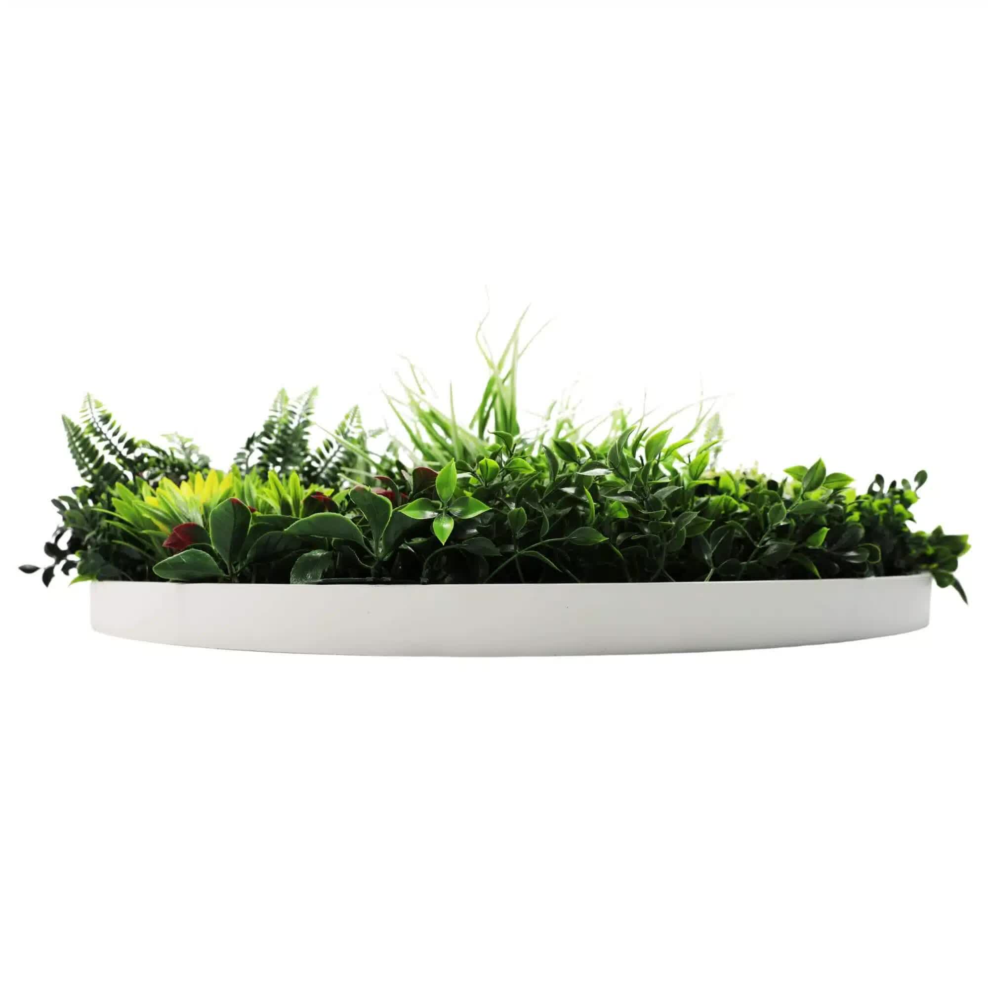 Slimline Artificial Green Wall Disc Art 80cm Colour Fresh UV Resistant (White) 4
