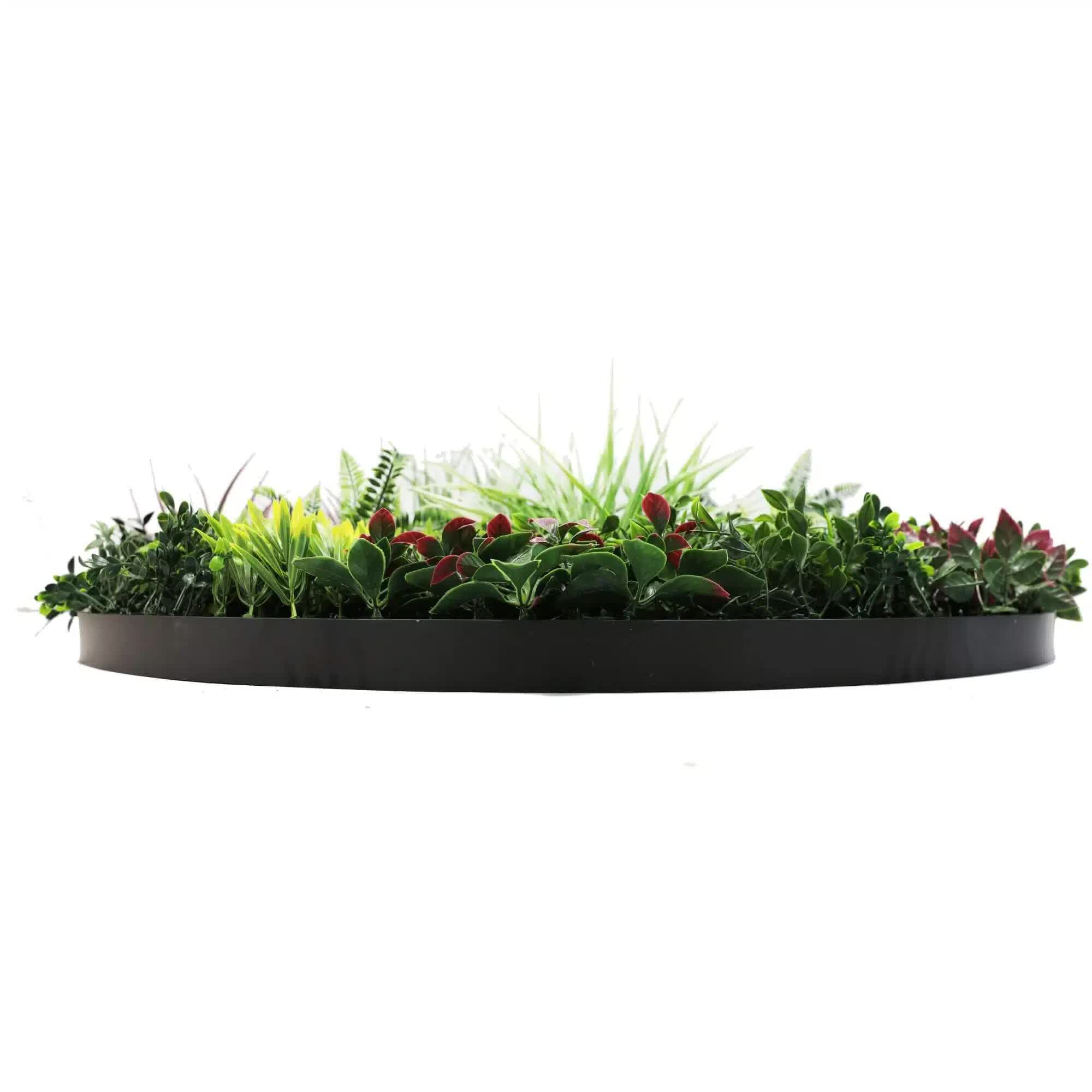 Slimline Artificial Green Wall Disc Art 100cm Colour Fresh UV Resistant (Black) 4