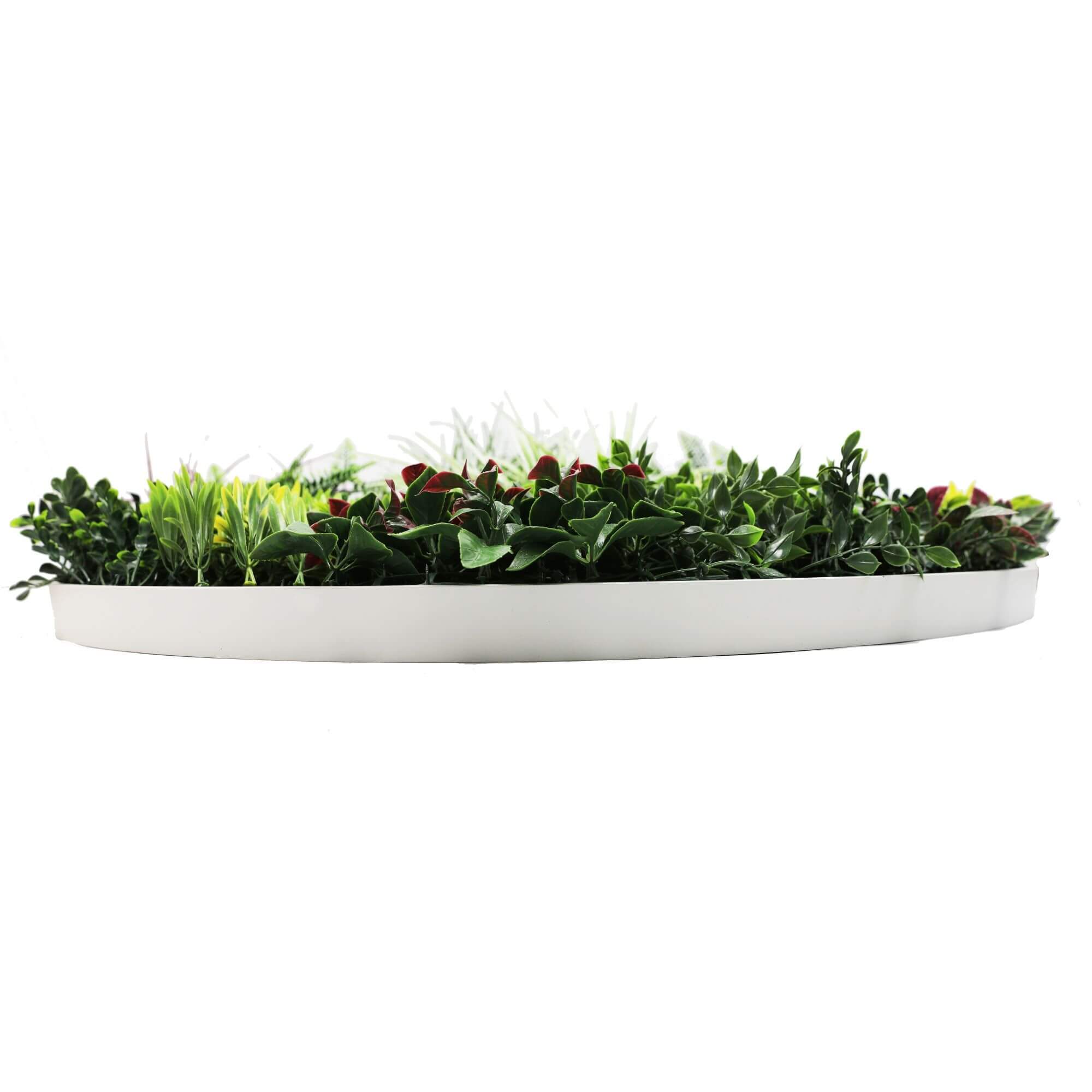Slimline Artificial Green Wall Disc Art 100cm Colour Fresh UV Resistant (White) 4