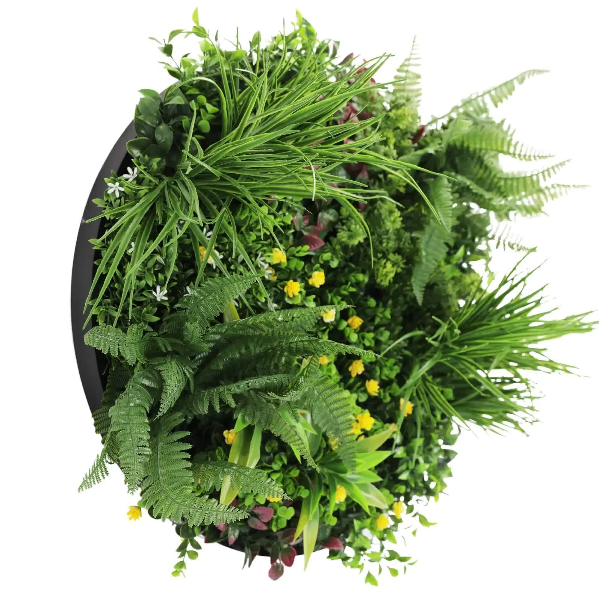 Slimline Artificial Green Wall Disc Art 60cm Country Fern UV Resistant (Black) 3