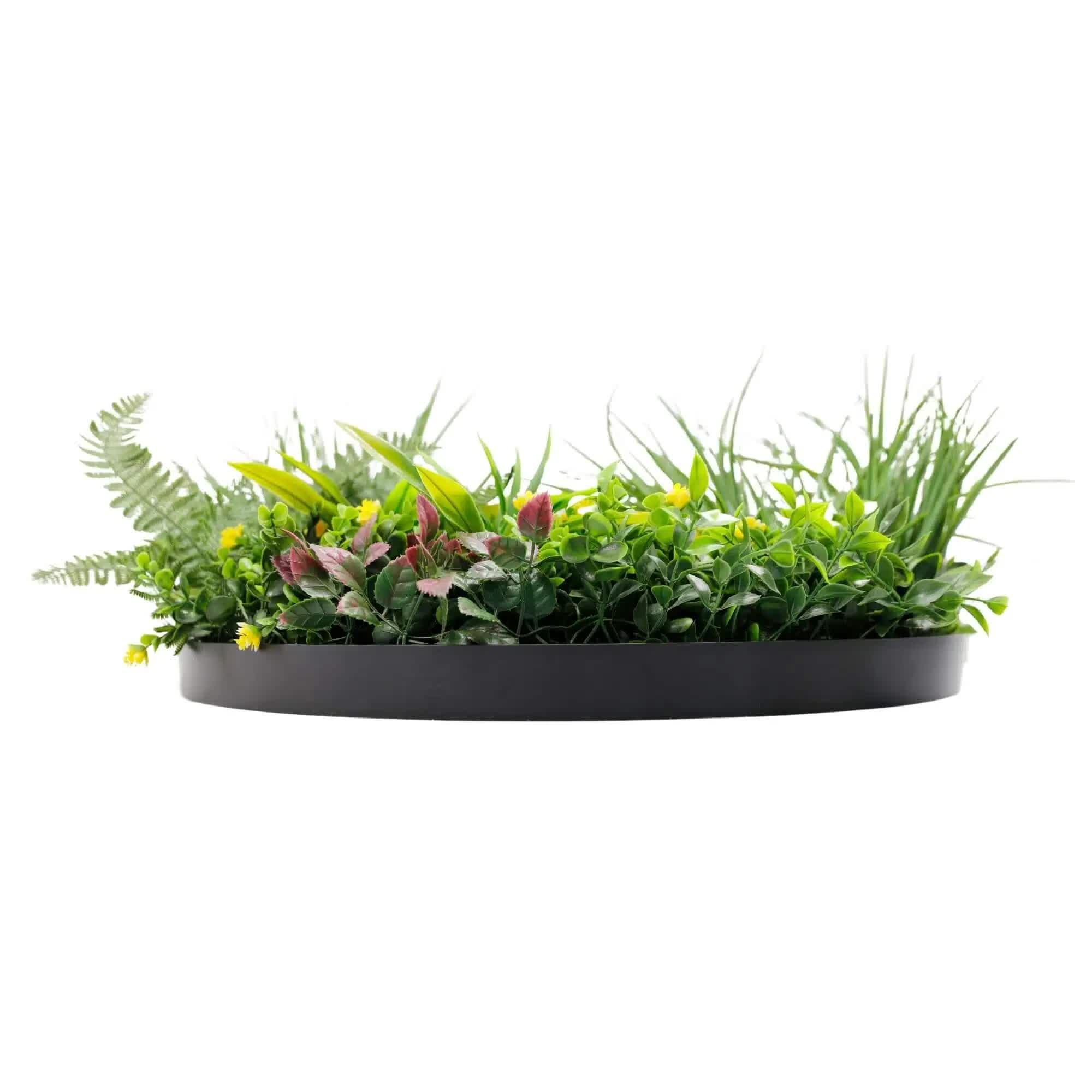 Slimline Artificial Green Wall Disc Art 60cm Country Fern UV Resistant (Black) 4