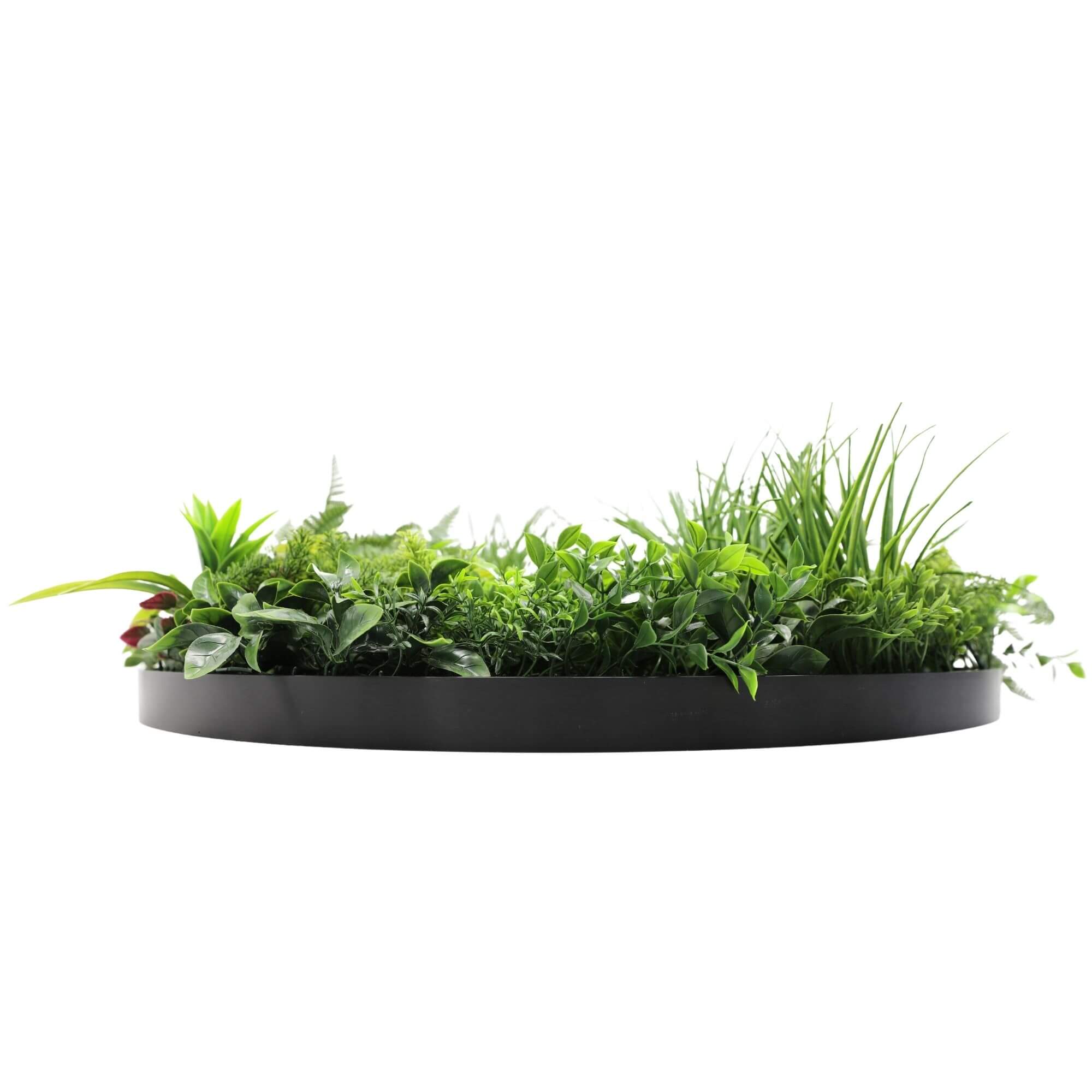 Slimline Artificial Green Wall Disc Art 80cm Country Fern UV Resistant (Black) 4