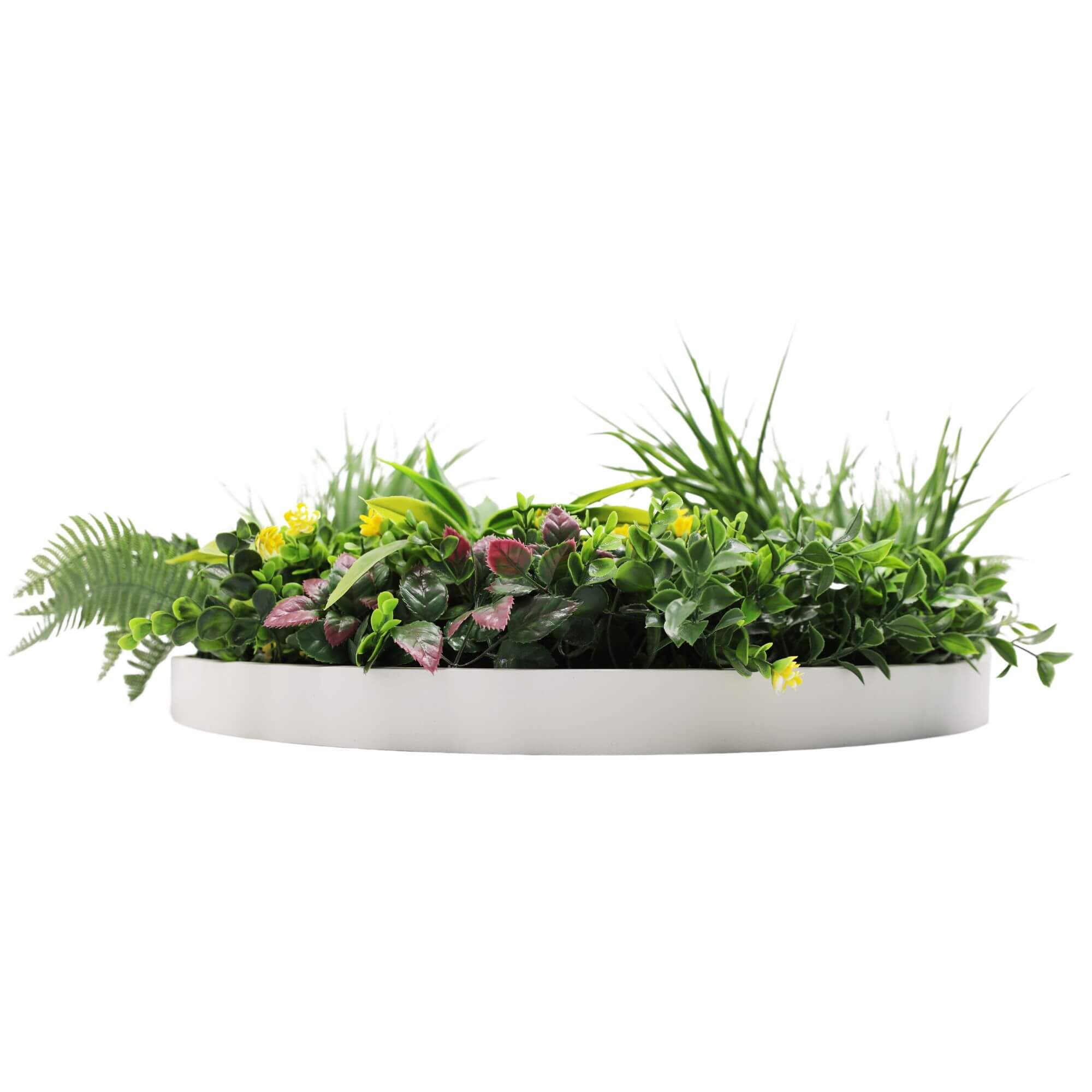 Slimline Artificial Green Wall Disc Art 60cm Country Fern UV Resistant (White) 4