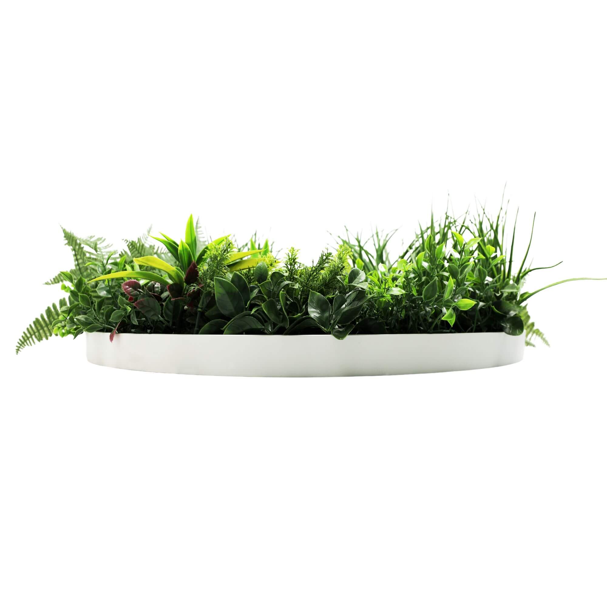 Slimline Artificial Green Wall Disc Art 80cm Country Fern UV Resistant (White) 4