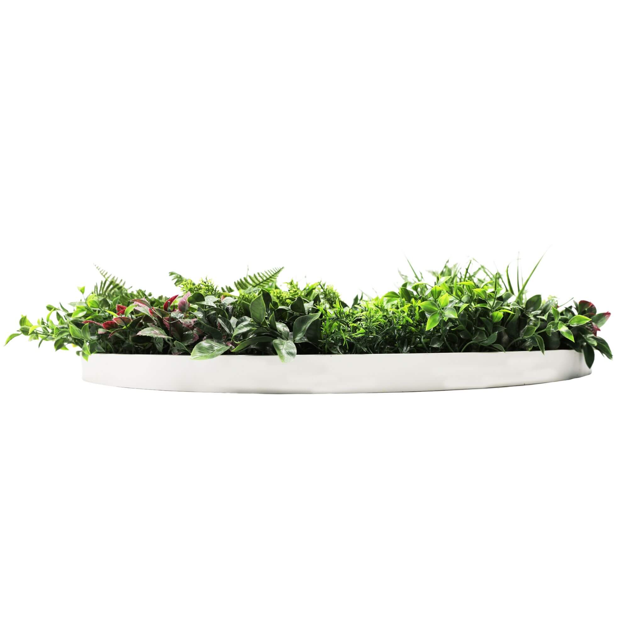 Slimline Artificial Green Wall Disc Art 100cm Country Fern UV Resistant (White) 4