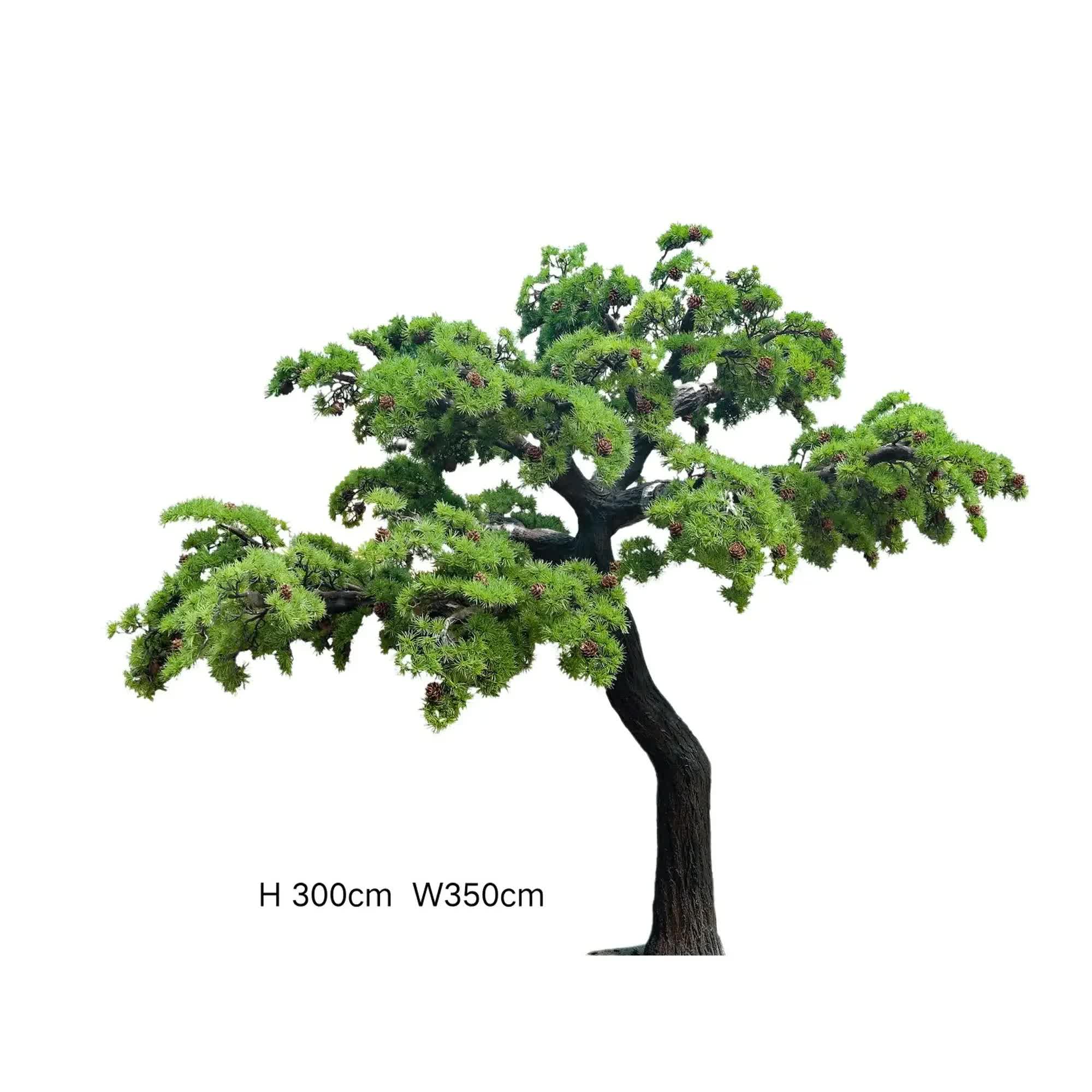 Extra Large Custom Made Bonsai Tree 350cm (Made to Order) 3